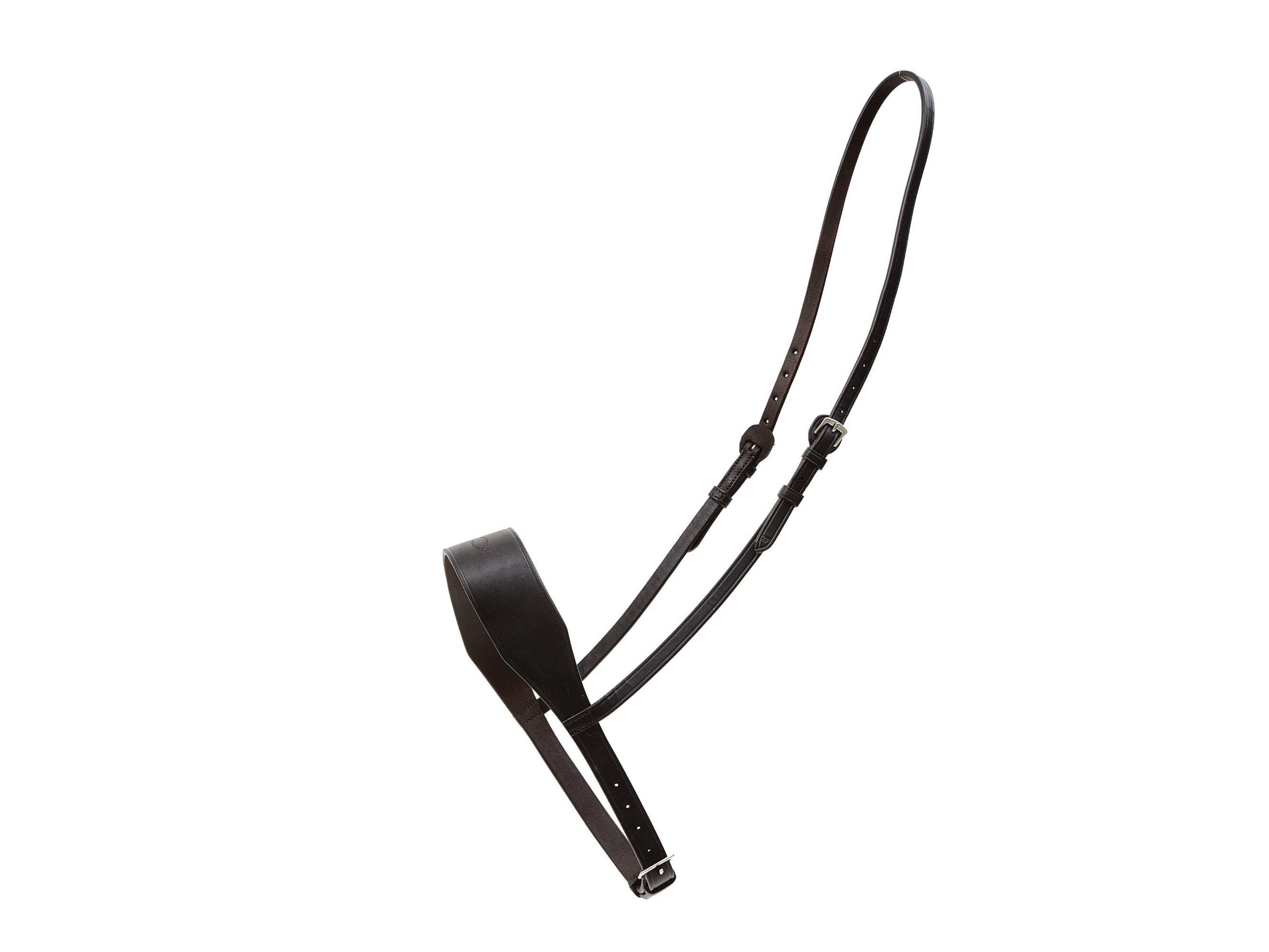 2" Noseband main view
