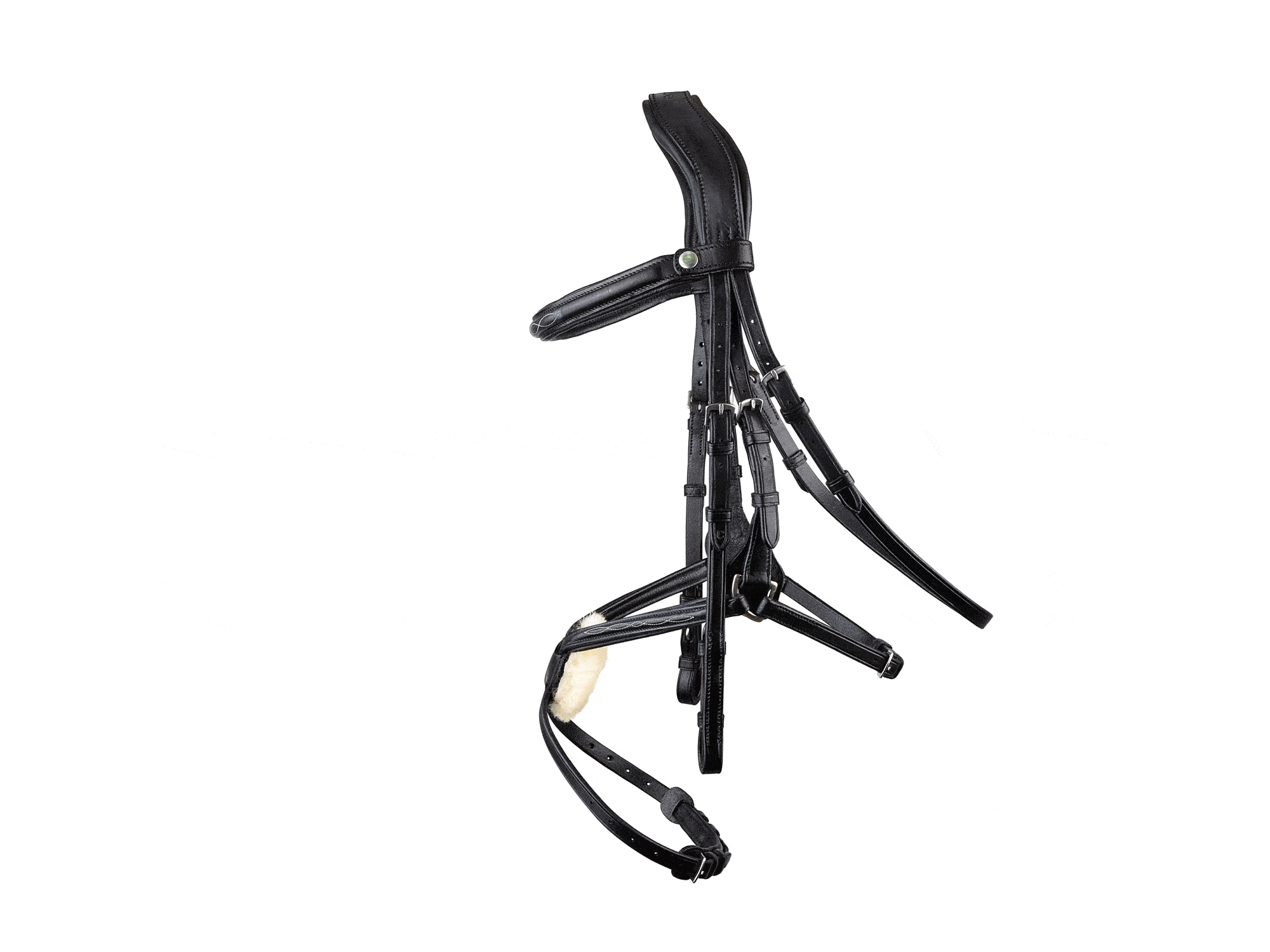 Galway v2.0 Bridle main view