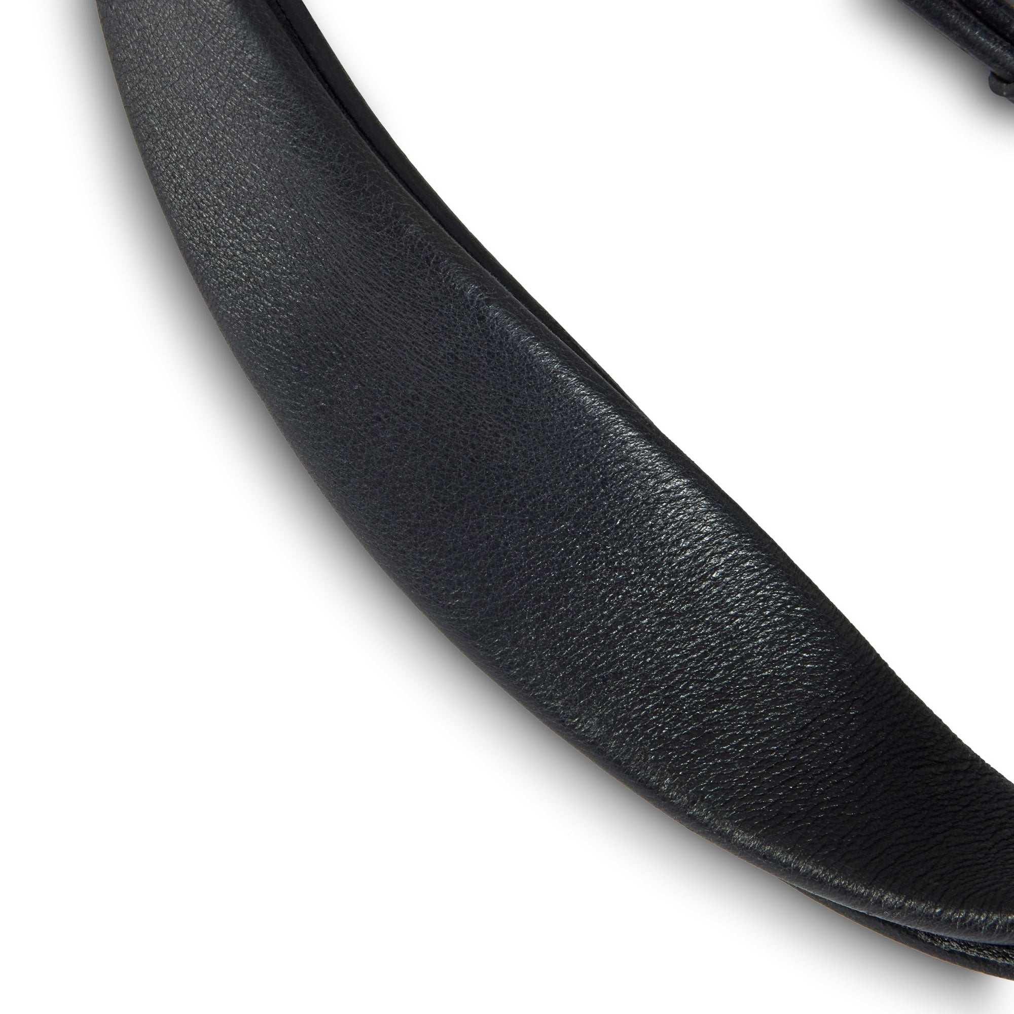 SeamFree Grackle Bridle