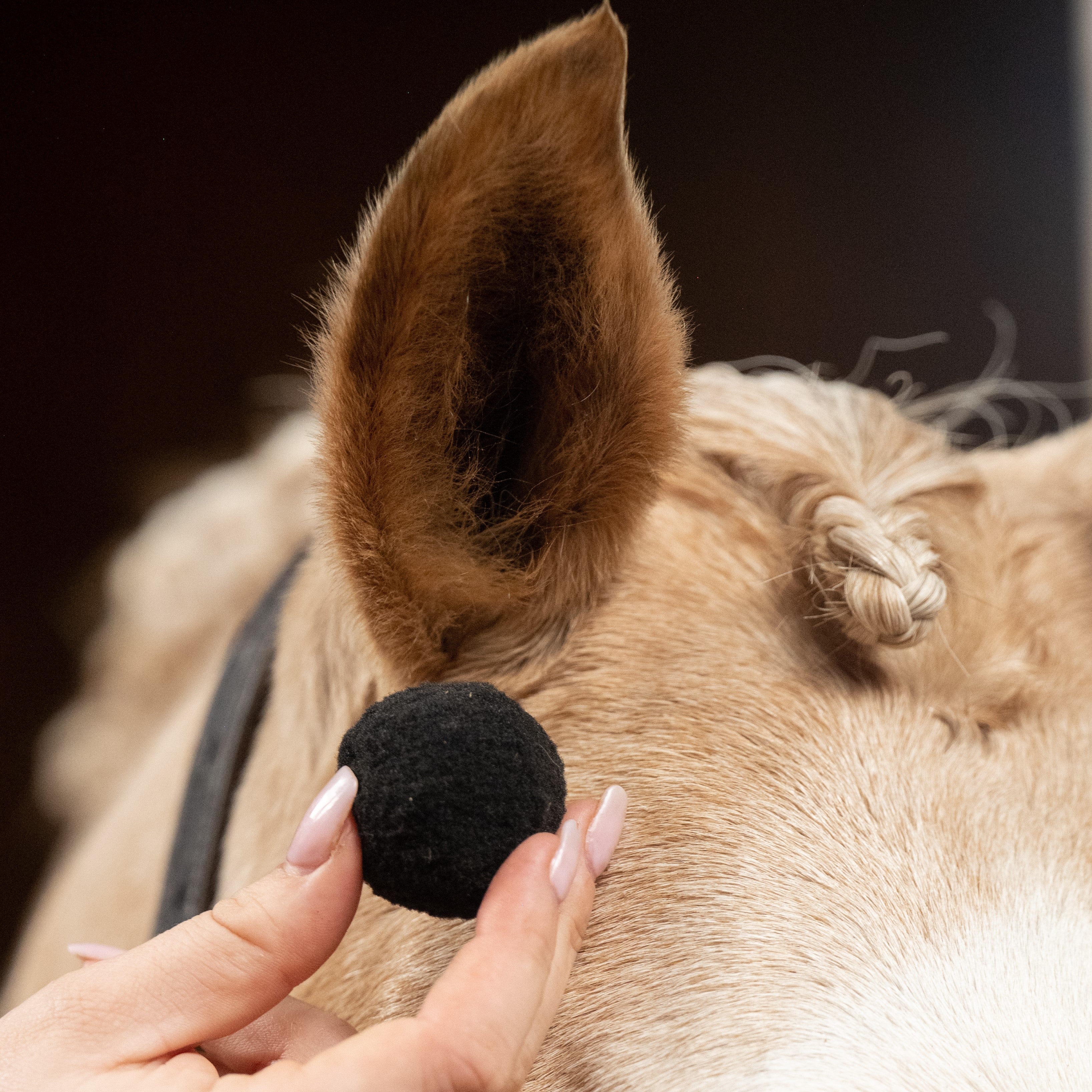 equi plugs - equestrian equipment