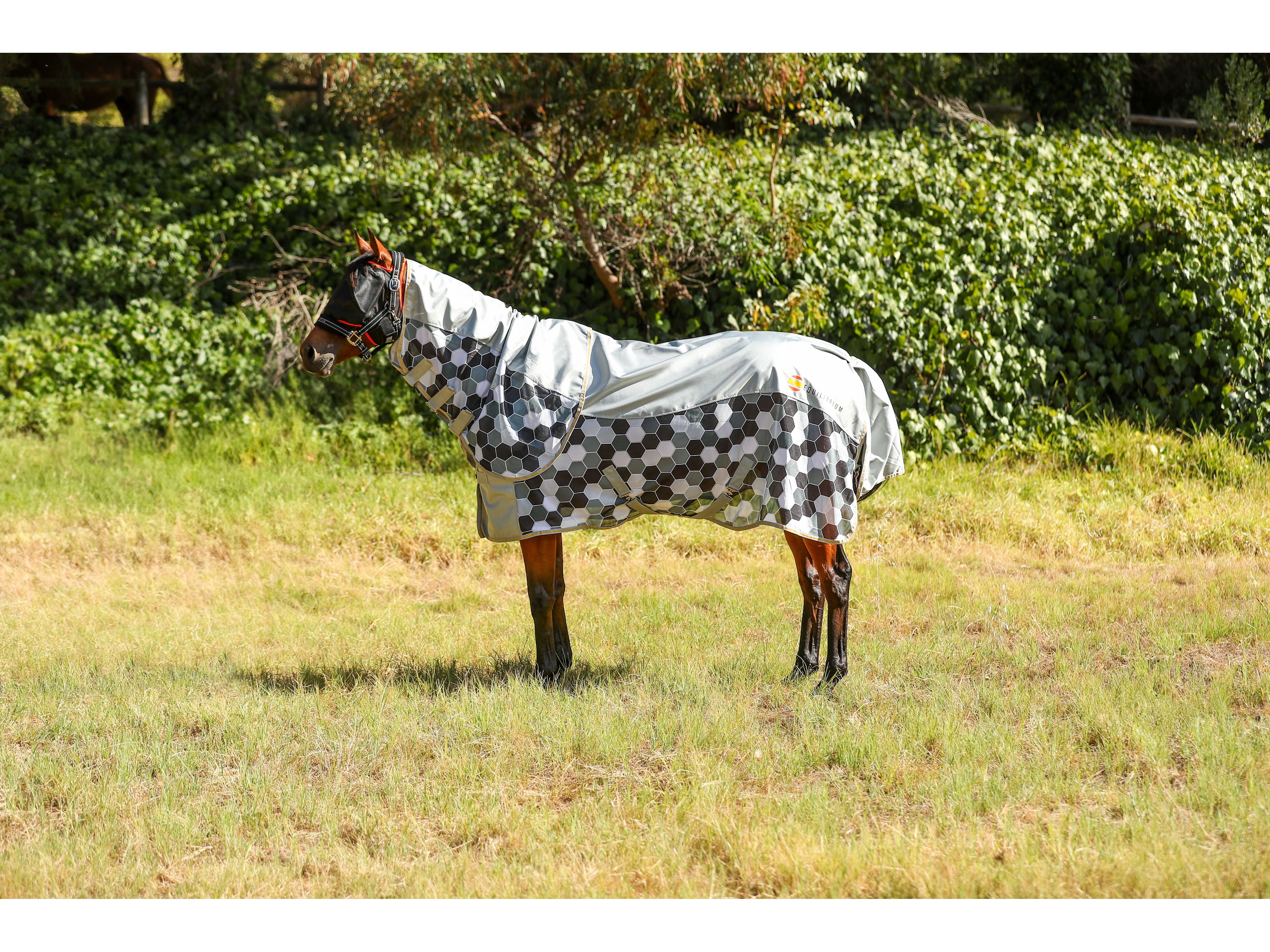Equilibrium Field Relief Waterproof Fly Rug
