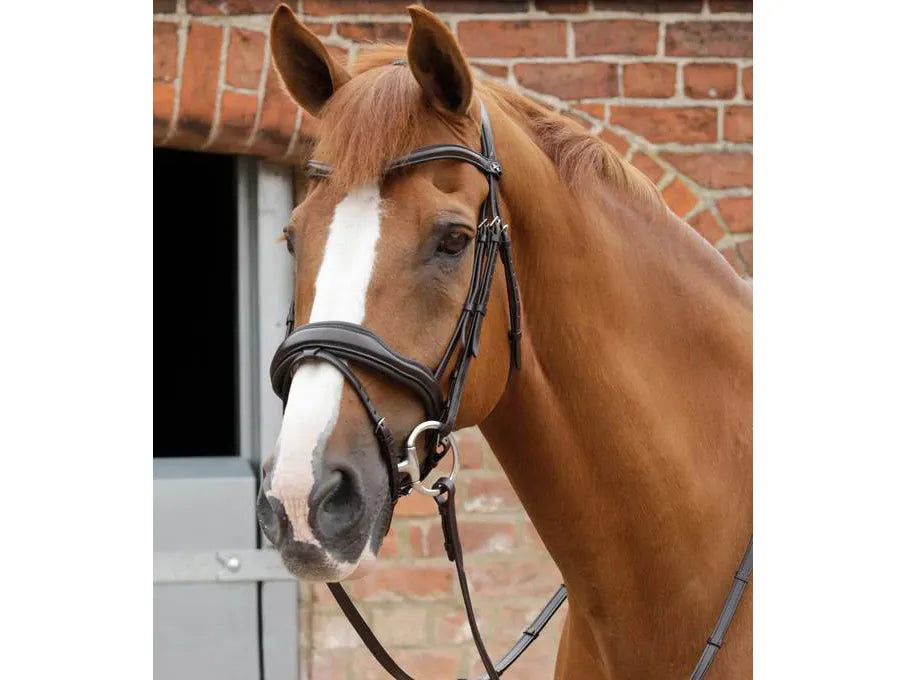 Premier Equine Favoloso Anatomic Bridle with Crank Noseband ExFull Black RRP £104.20