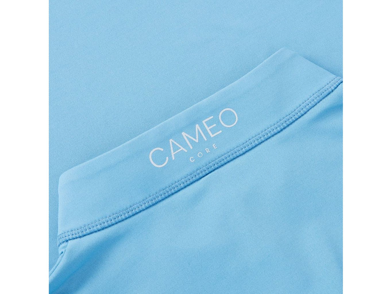 Core Collection Baselayer view