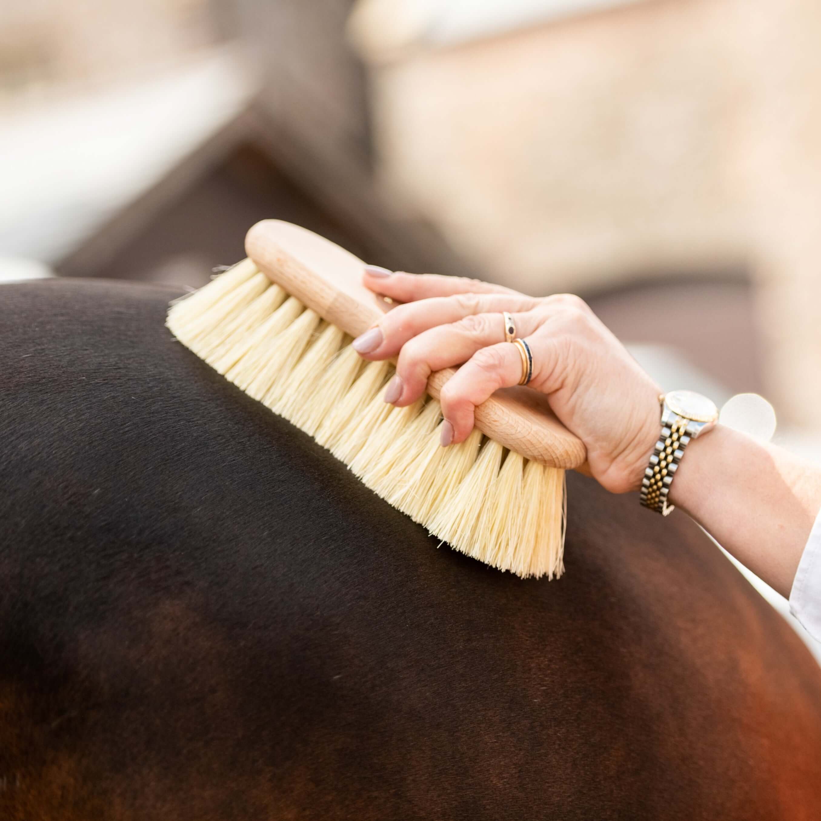 borstiq shaped mex fibre brush - equestrian equipment