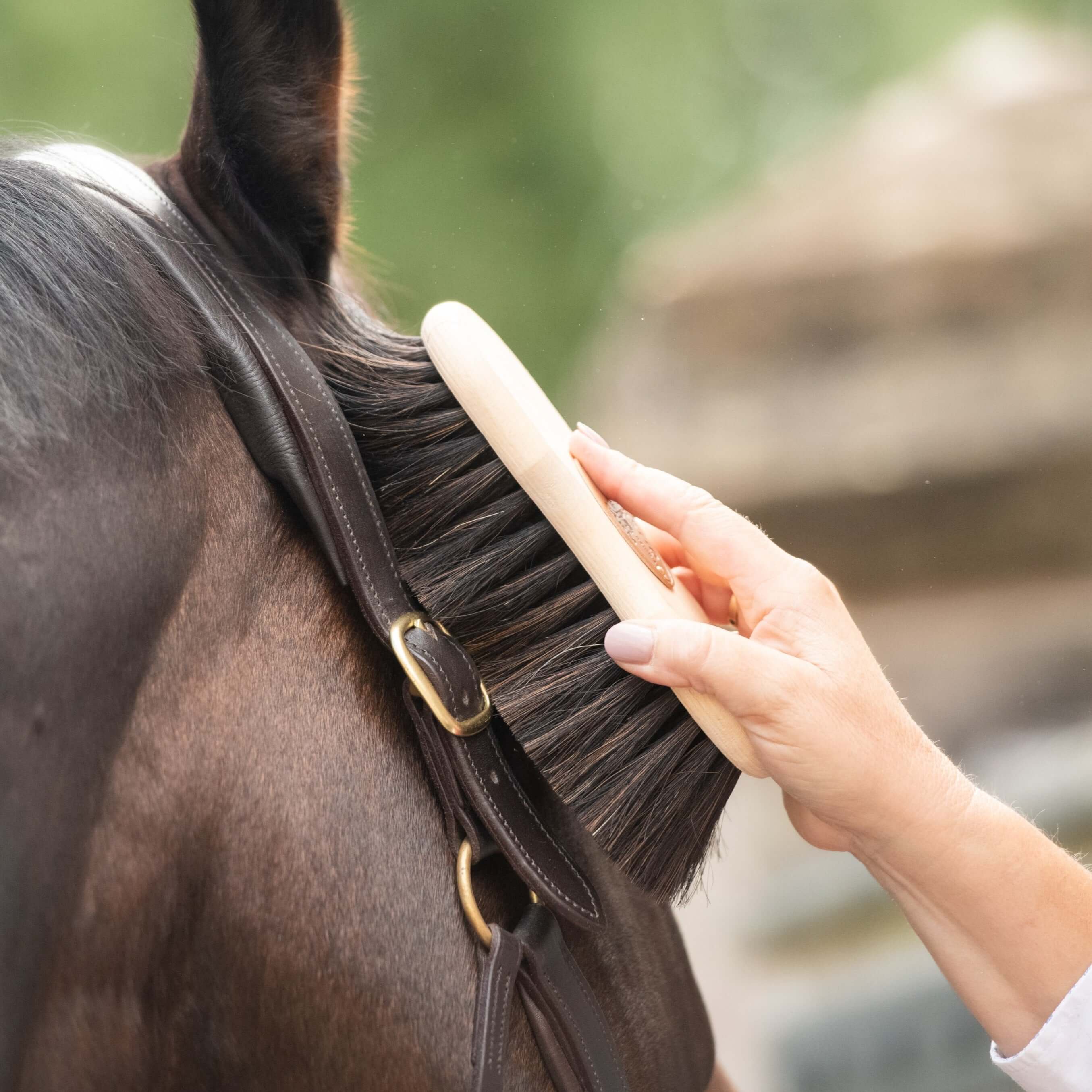 borstiq shaped finishing brush - equestrian equipment