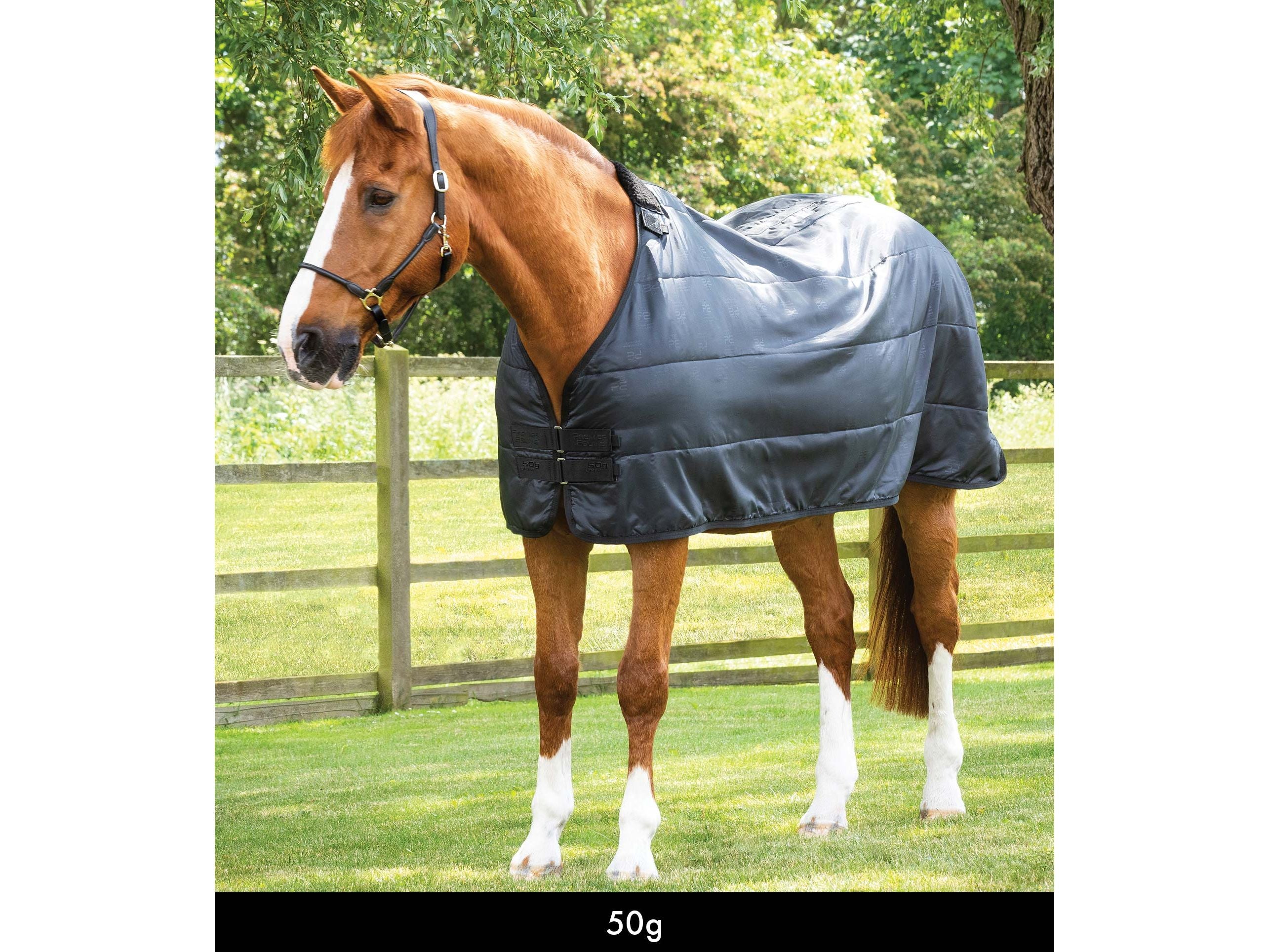 50g Horse Rug Liner Black
