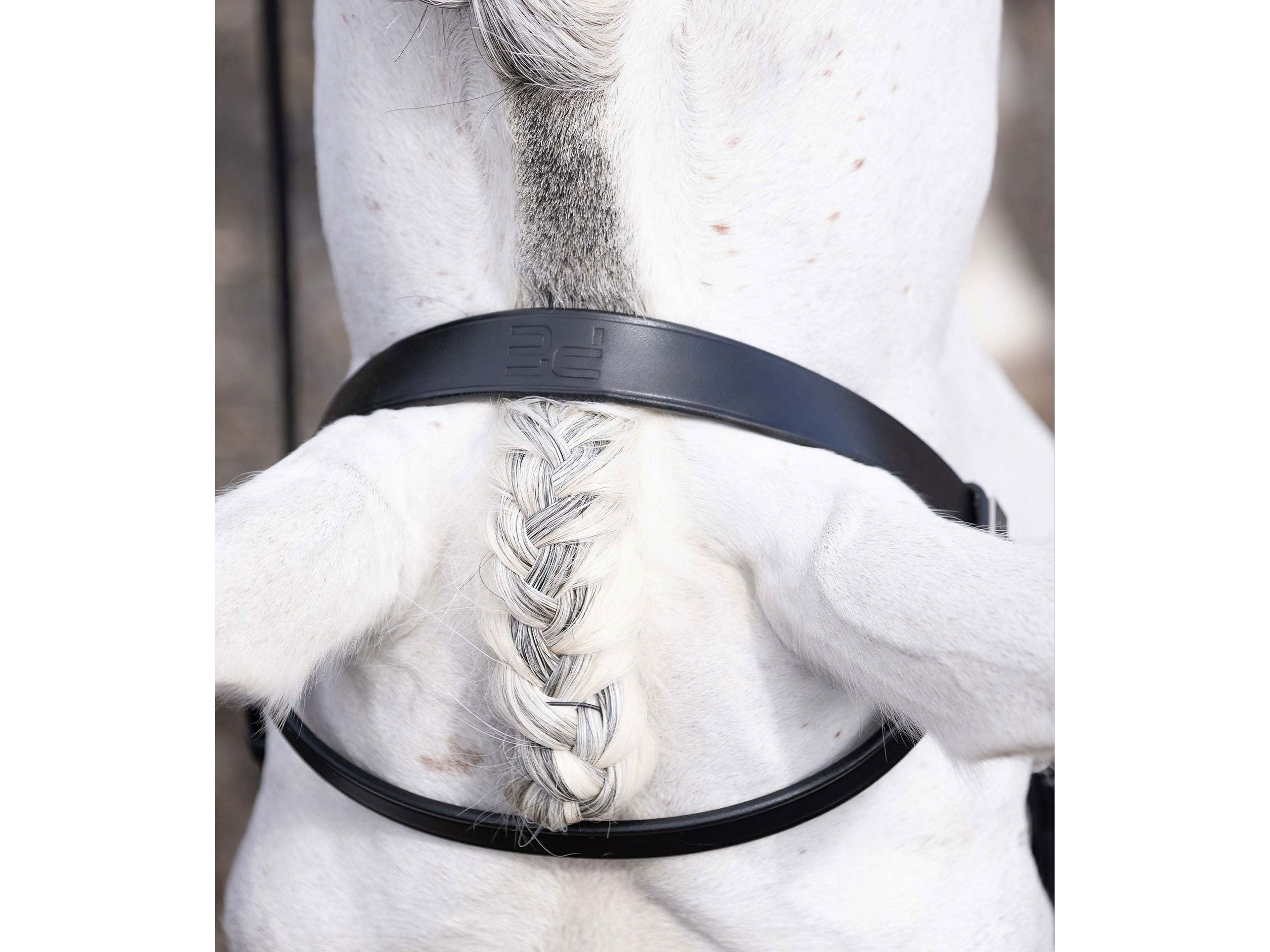 Hunter Plain Bridle Headpiece