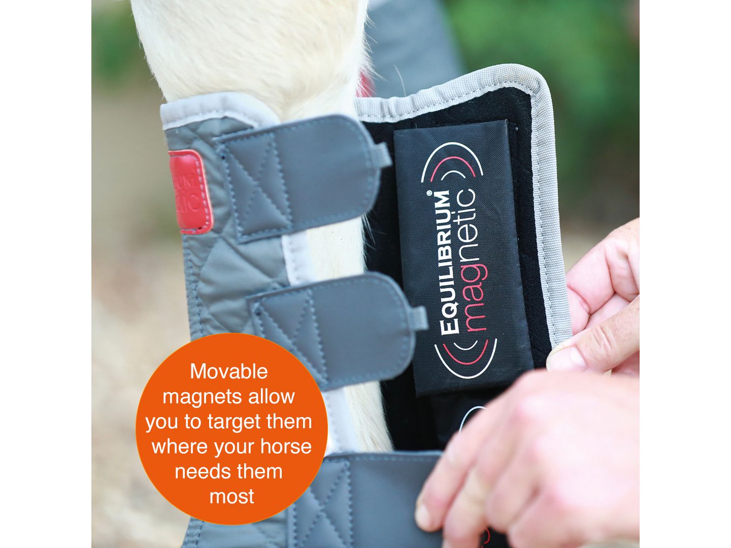 Equilibrium Magnetic Hind & Hock Chaps
