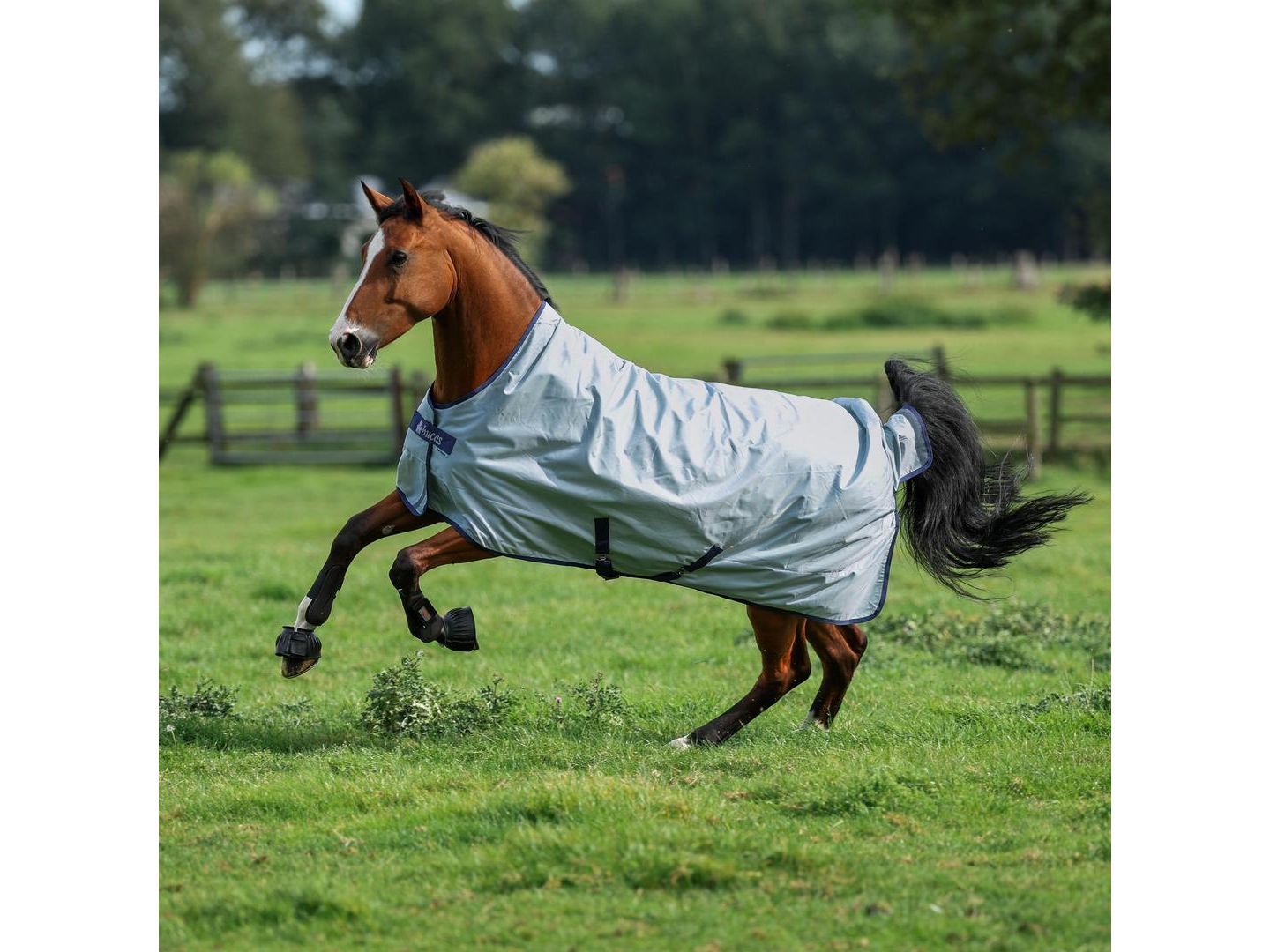 Bucas Power Turnout Light Big Neck RRP £231.00