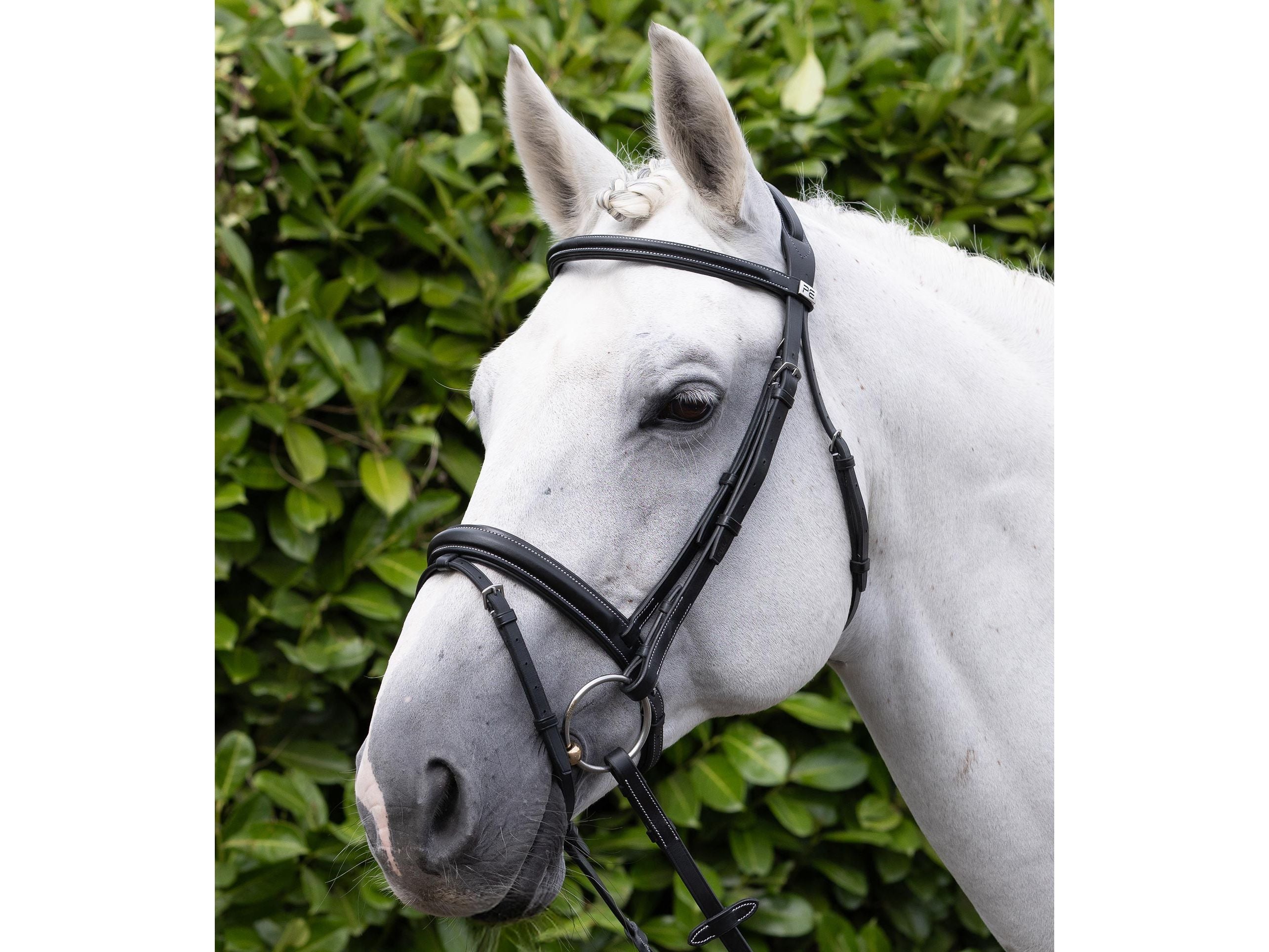 Pro Elevator Bridle