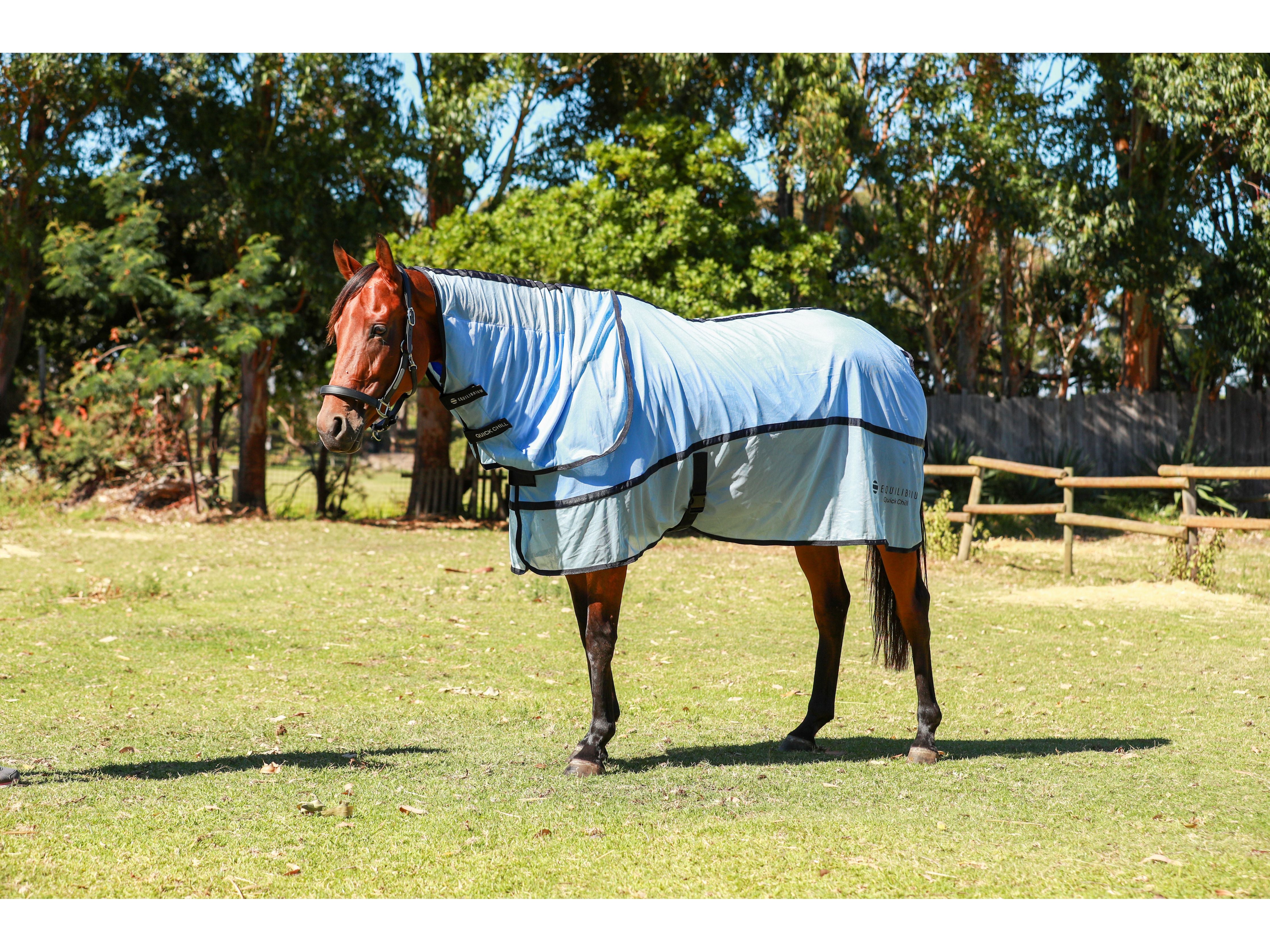 Equilibrium Quick Chill Cool Rug with Detachable Neck