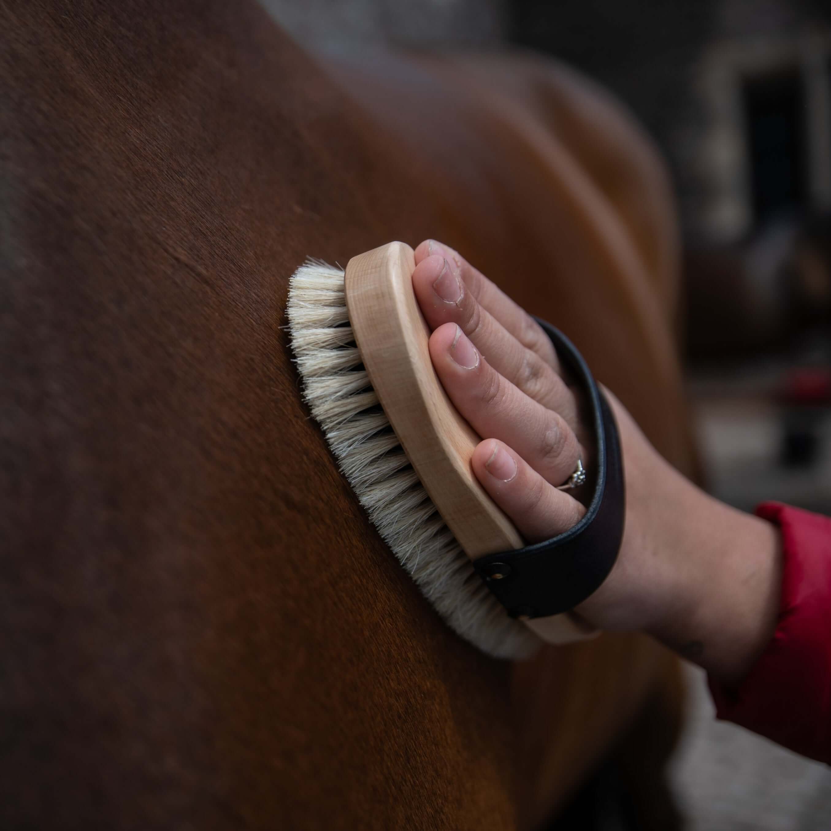 traditional body brush - equestrian equipment