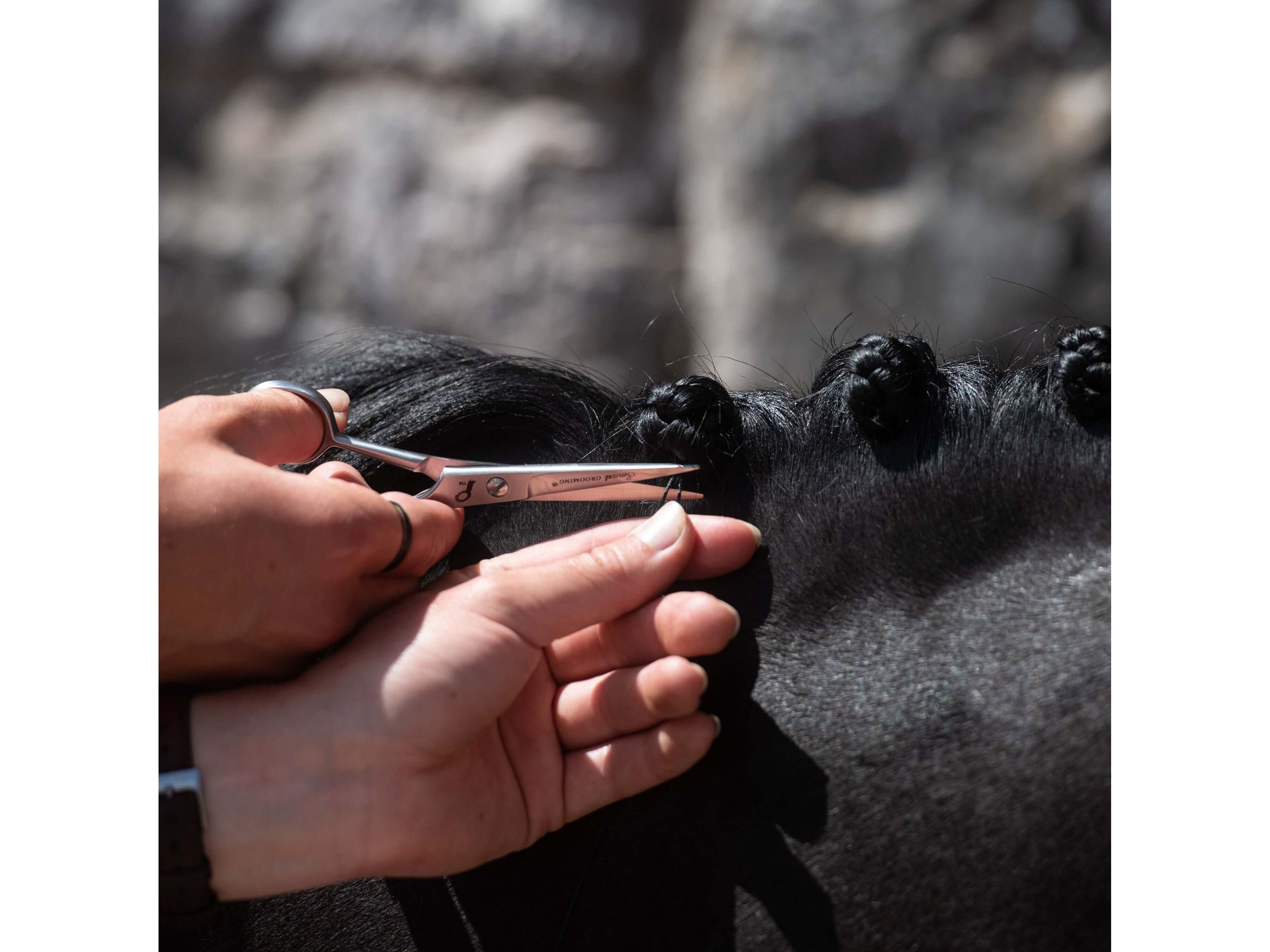 5"/12.5cm pointed scissors - equestrian equipment