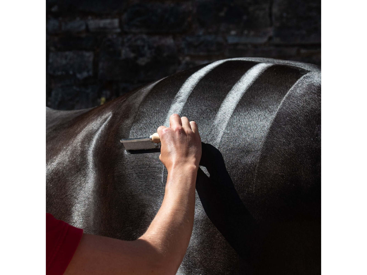 hunter mark comb - equestrian equipment
