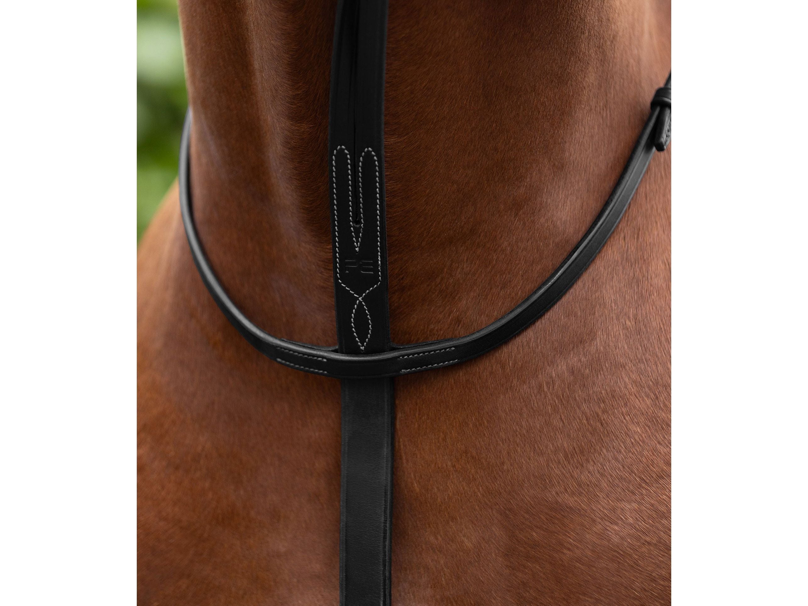 European Running Martingale