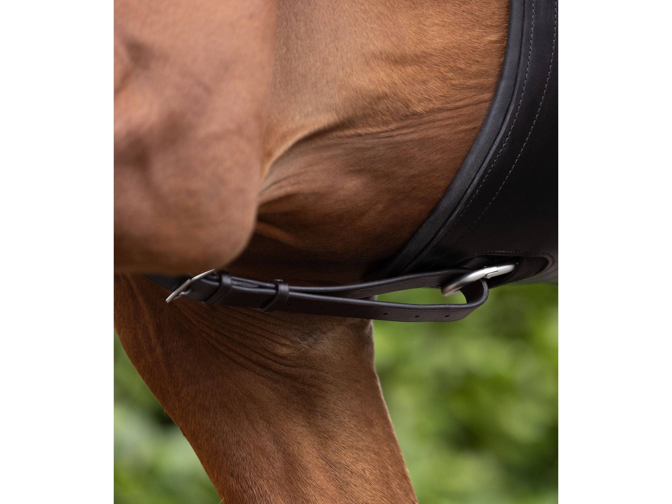 European Running Martingale