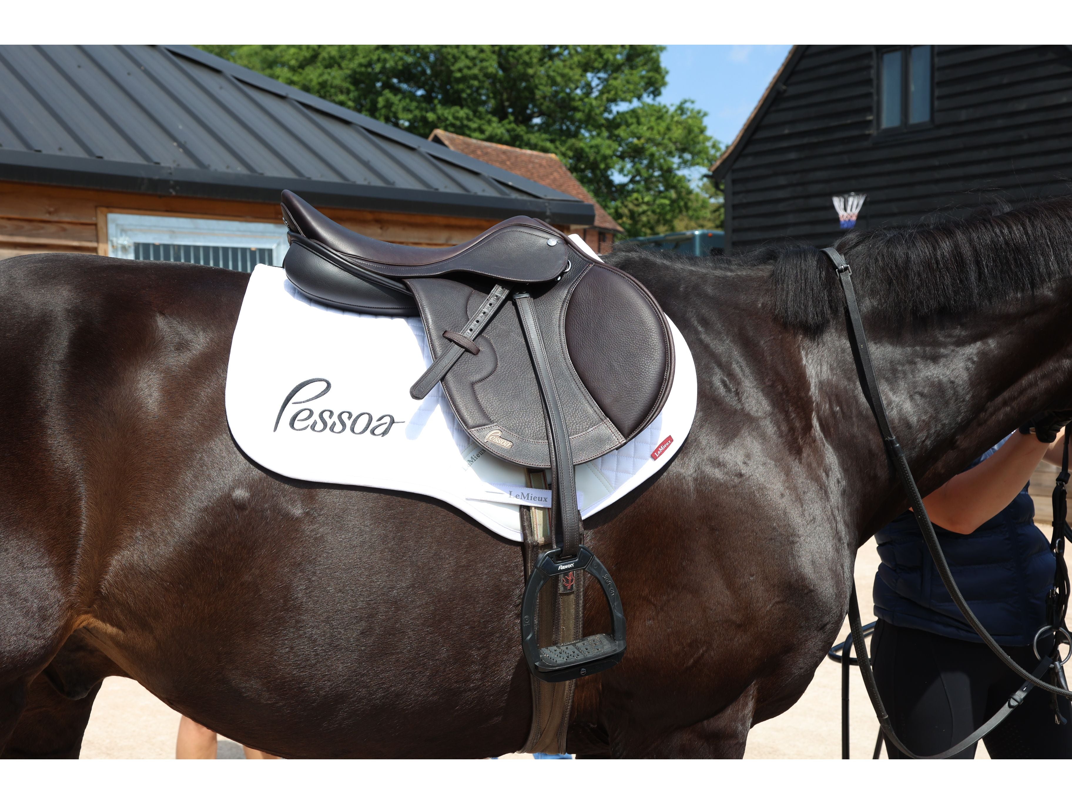 Professional Saddle Fitting Service