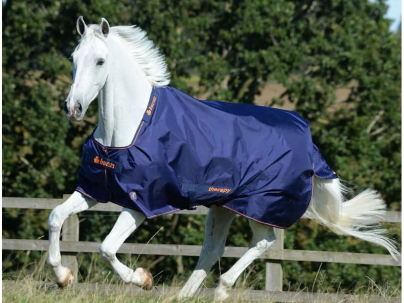 A white horse running outdoors wearing a navy blue Bucas Therapy Turnout Rug with orange branding.