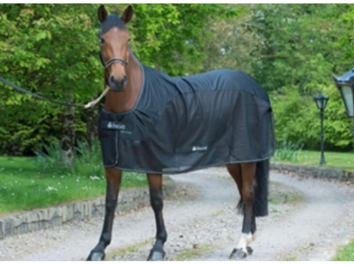 A brown horse standing on a gravel path outdoors, wearing a dark Bucas Competition Cooler rug. Trees and grass are visible in the background.
