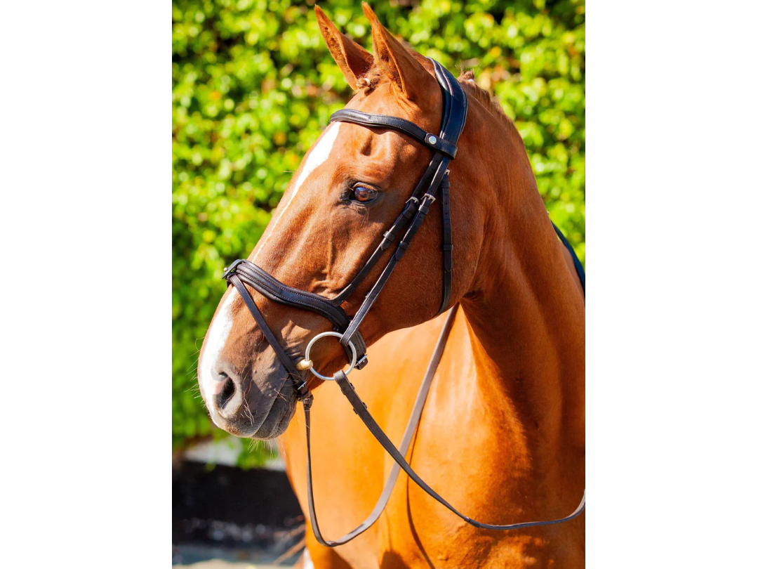 EcoRider Kilkenny v2.0 Bridle side view