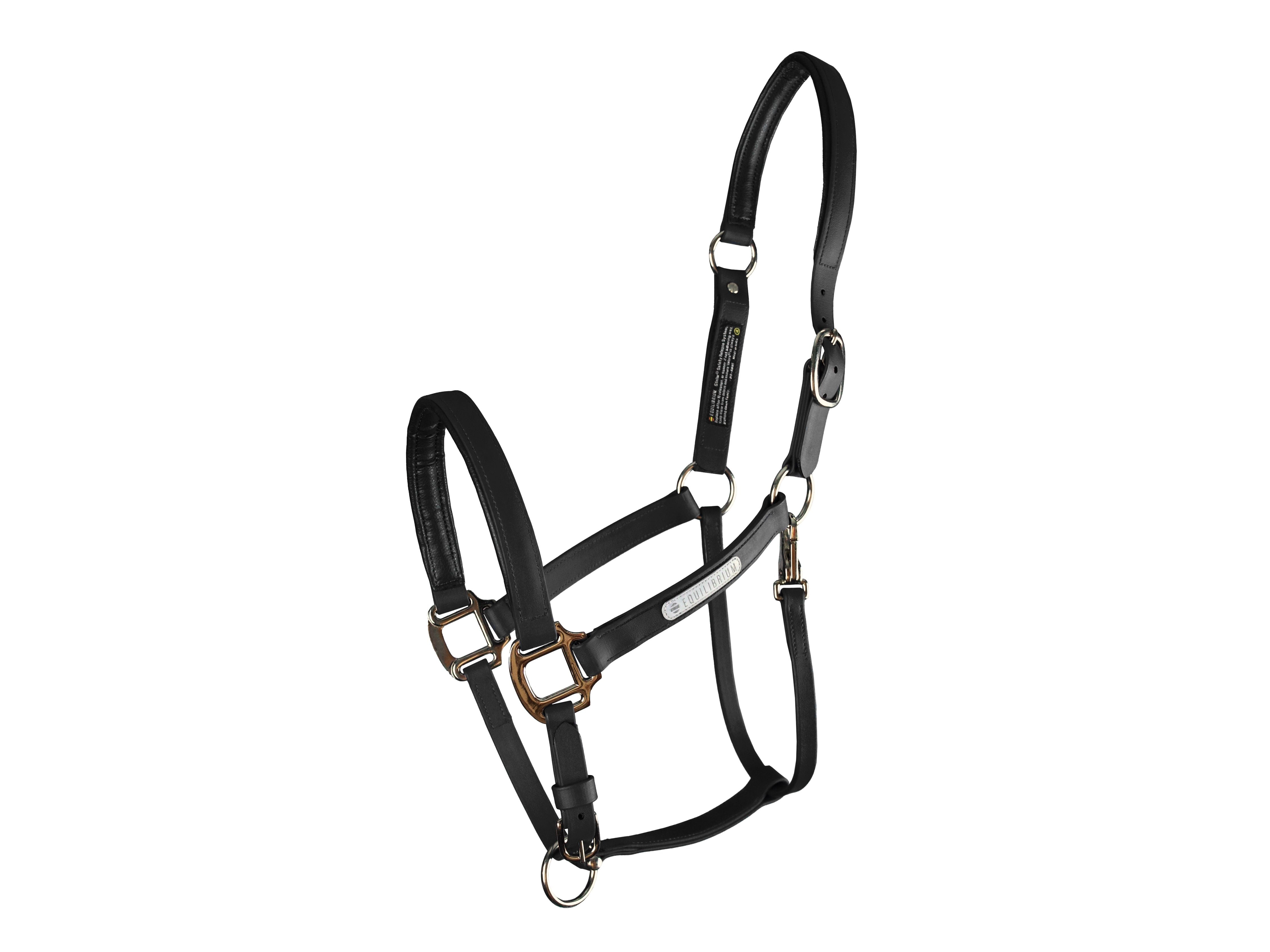Equilibrium Stellar All Weather Safety Headcollar
