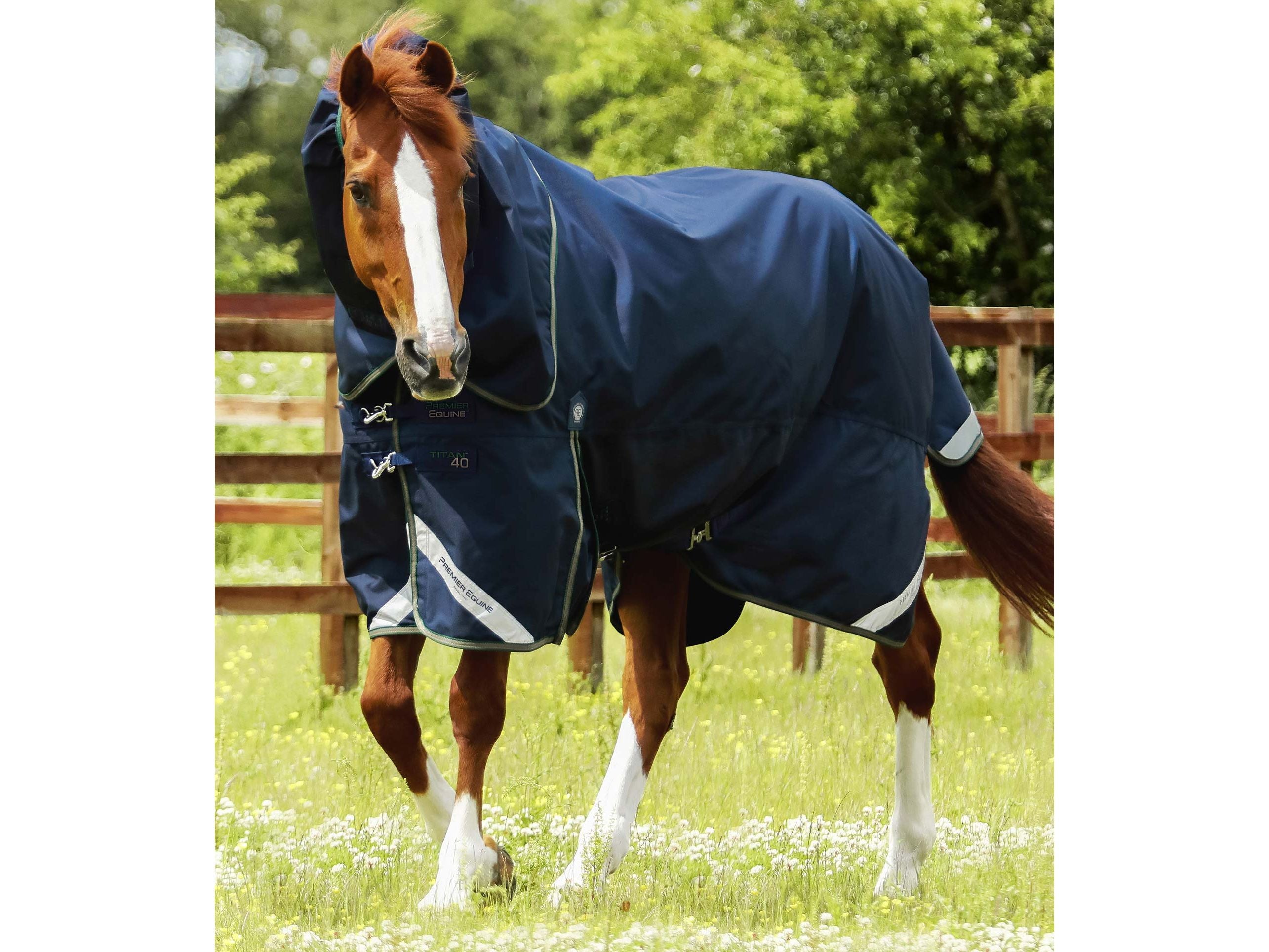 Titan 40g Turnout Rug with Snug-Fit Neck Cover