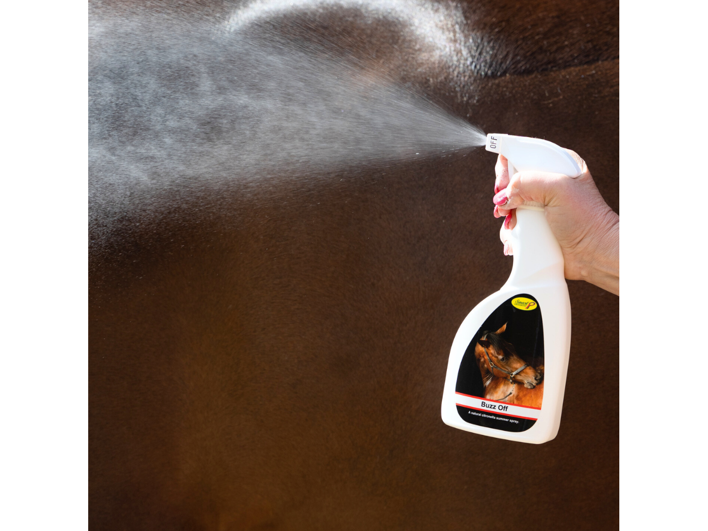 buzz off summer spray - equestrian equipment