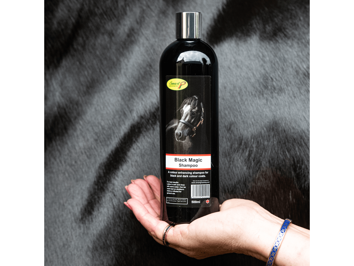 black magic shampoo - equestrian equipment