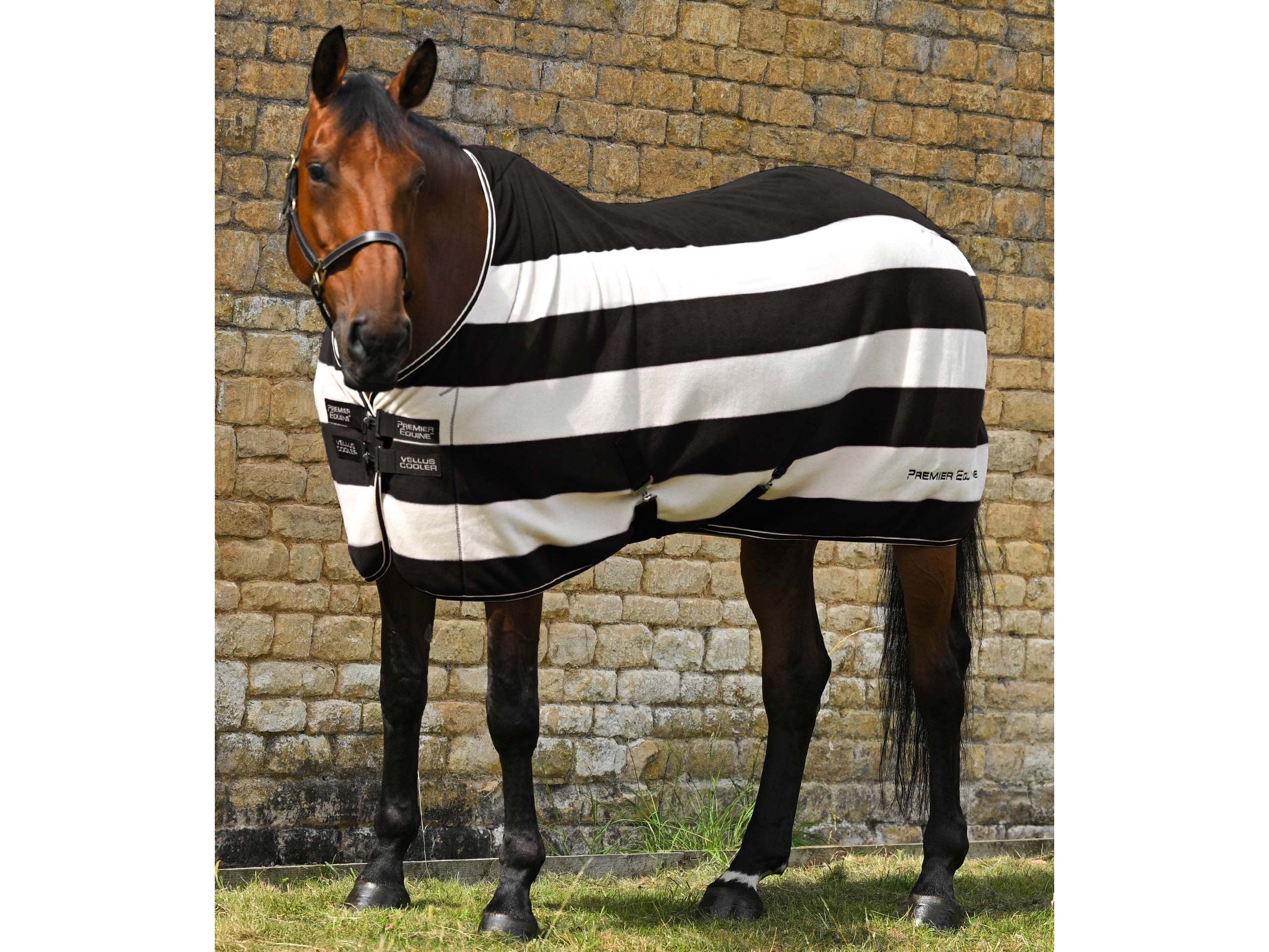 Vellus Horse Fleece Rug