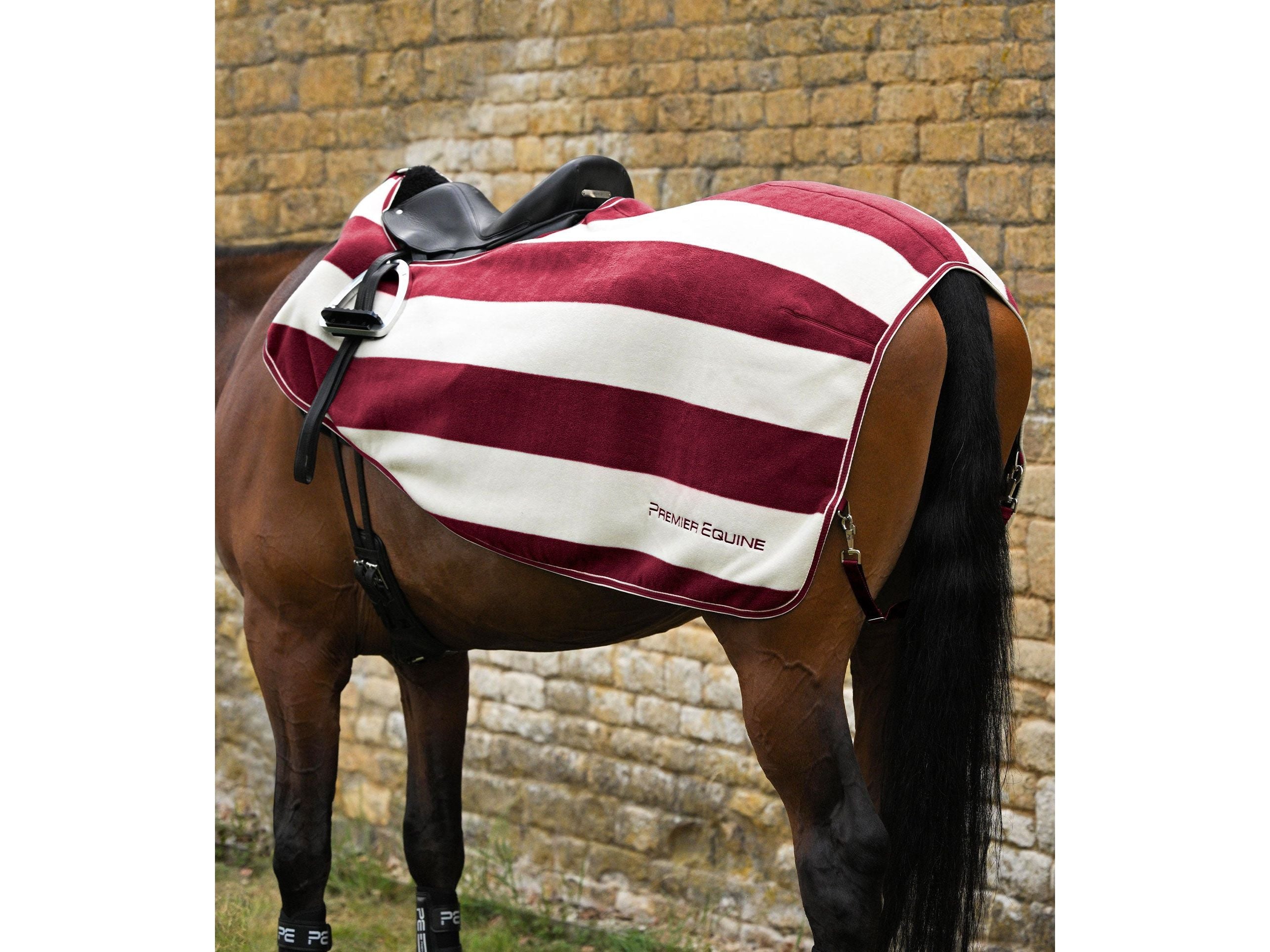 Vellus Horse Fleece Exercise Sheet