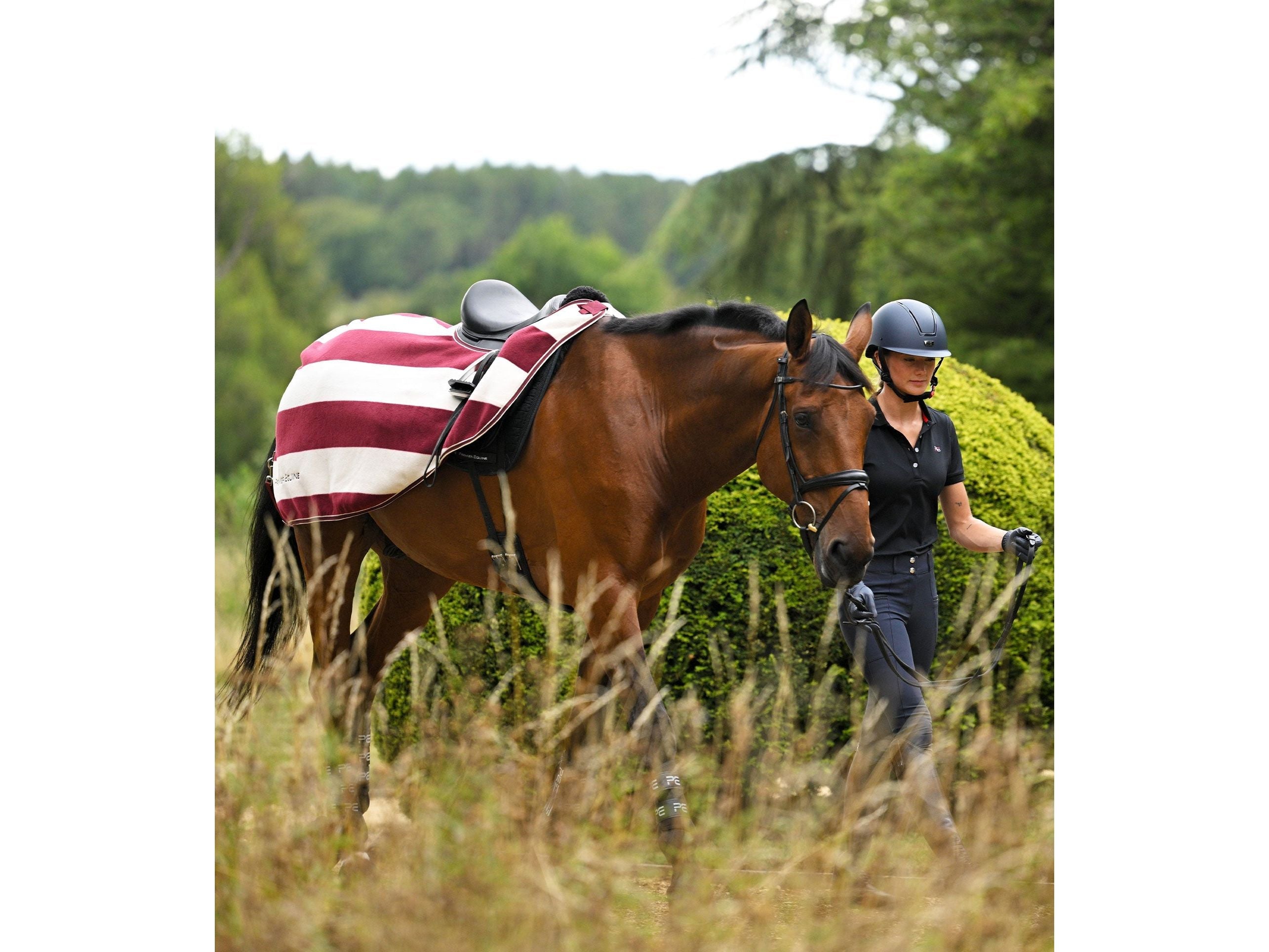 Vellus Horse Fleece Exercise Sheet