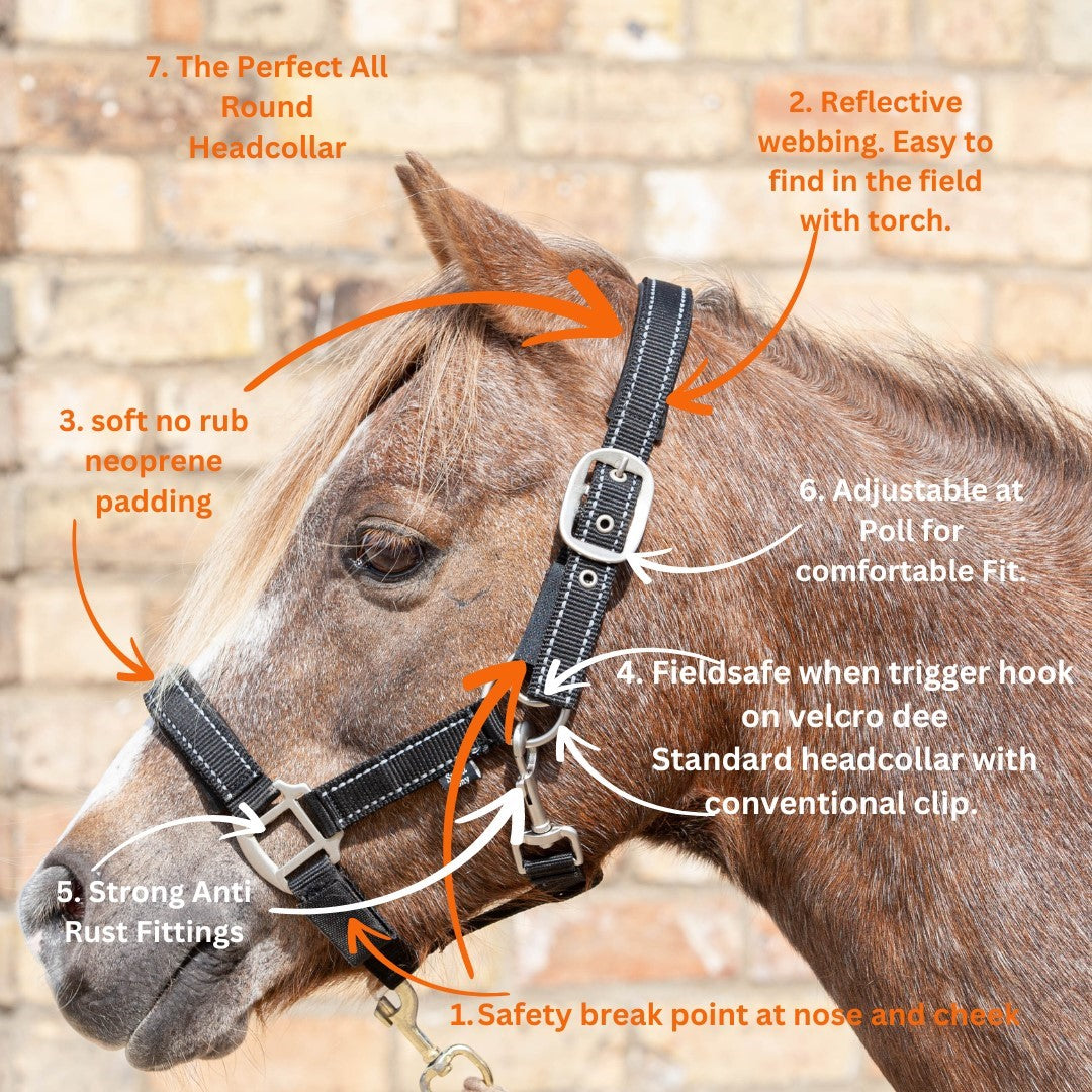 Fieldsafe Headcollar