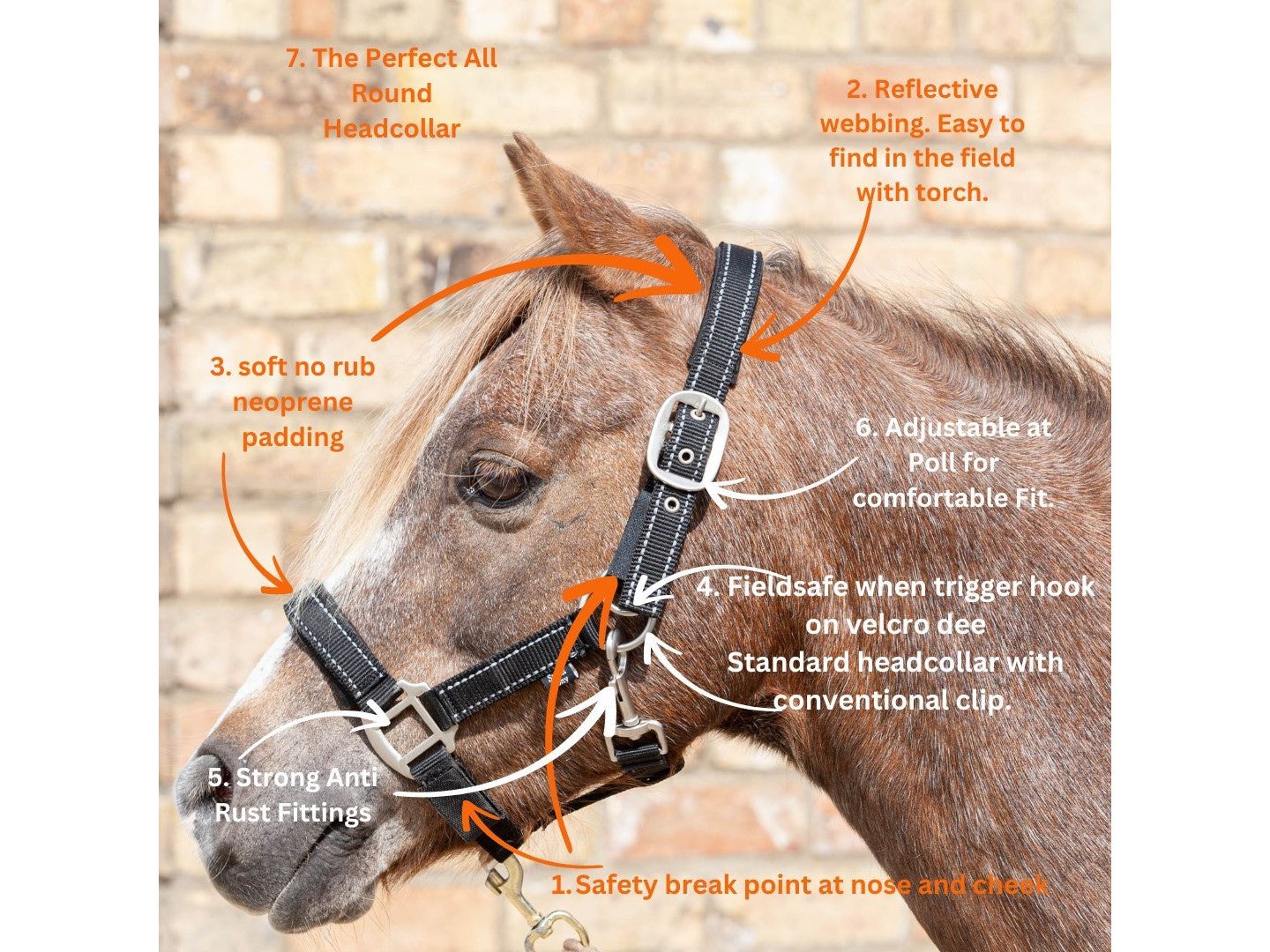 Fieldsafe Headcollar view