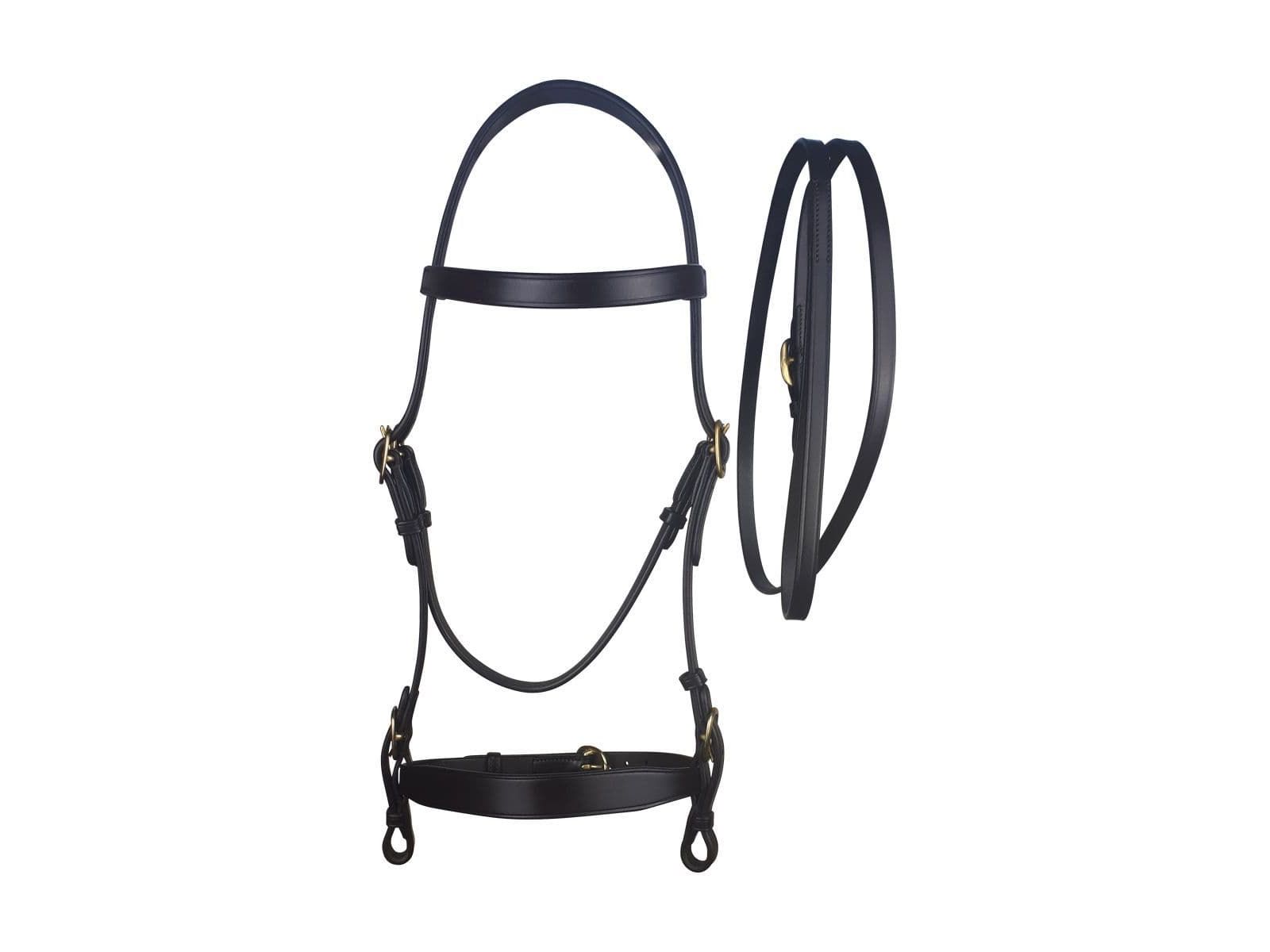 Cameo Equine In Hand Bridle and Lead