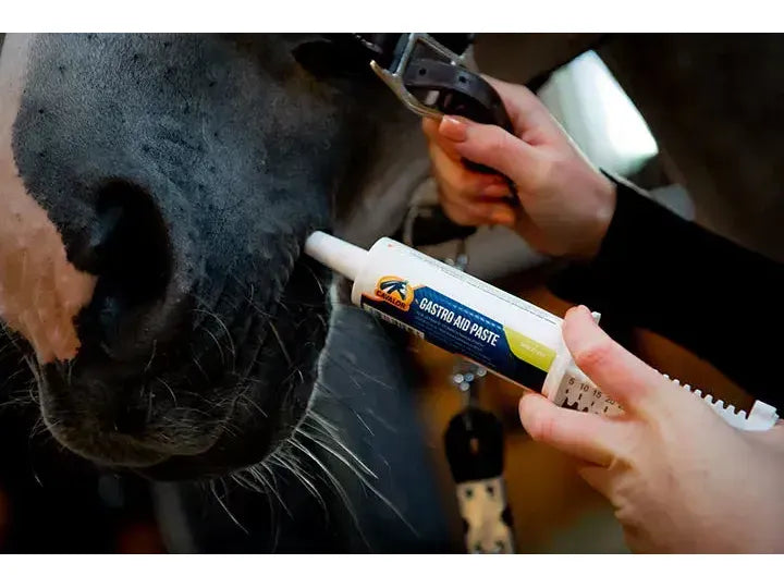 Cavalor Gastro Aid Paste