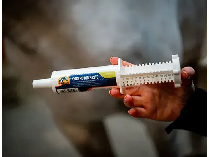 Cavalor Gastro Aid Paste
