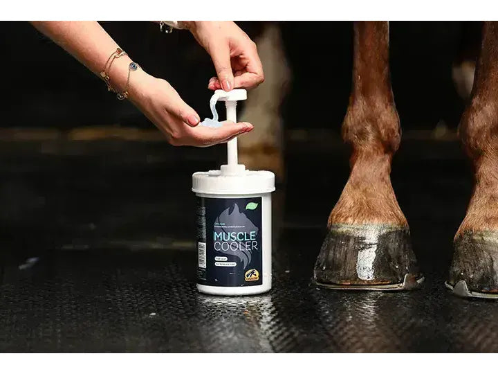 Cavalor Muscle Cooler