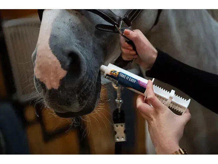 Cavalor Take It Easy