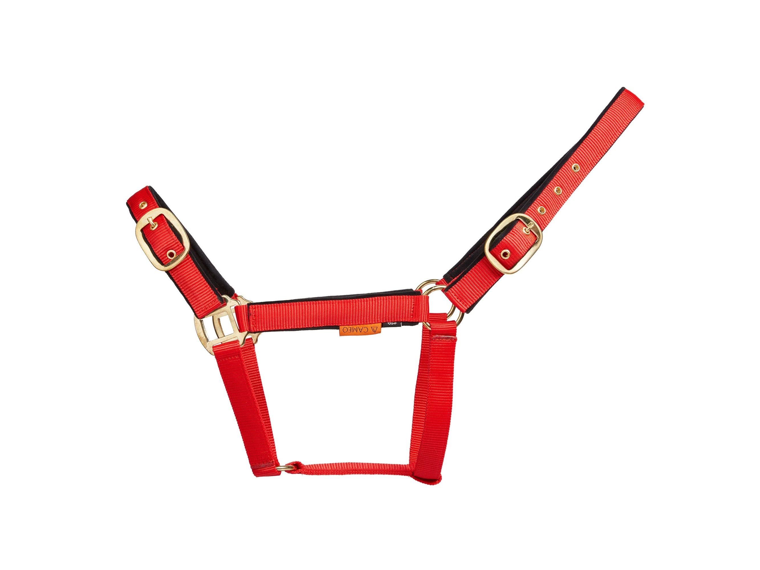 Suede Padded Headcollar view