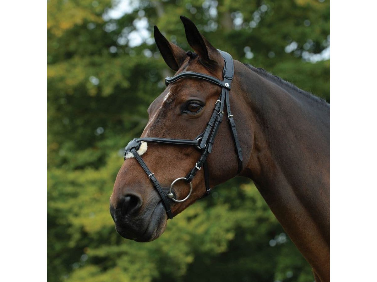 Collegiate Comfitec Grackle Bridle