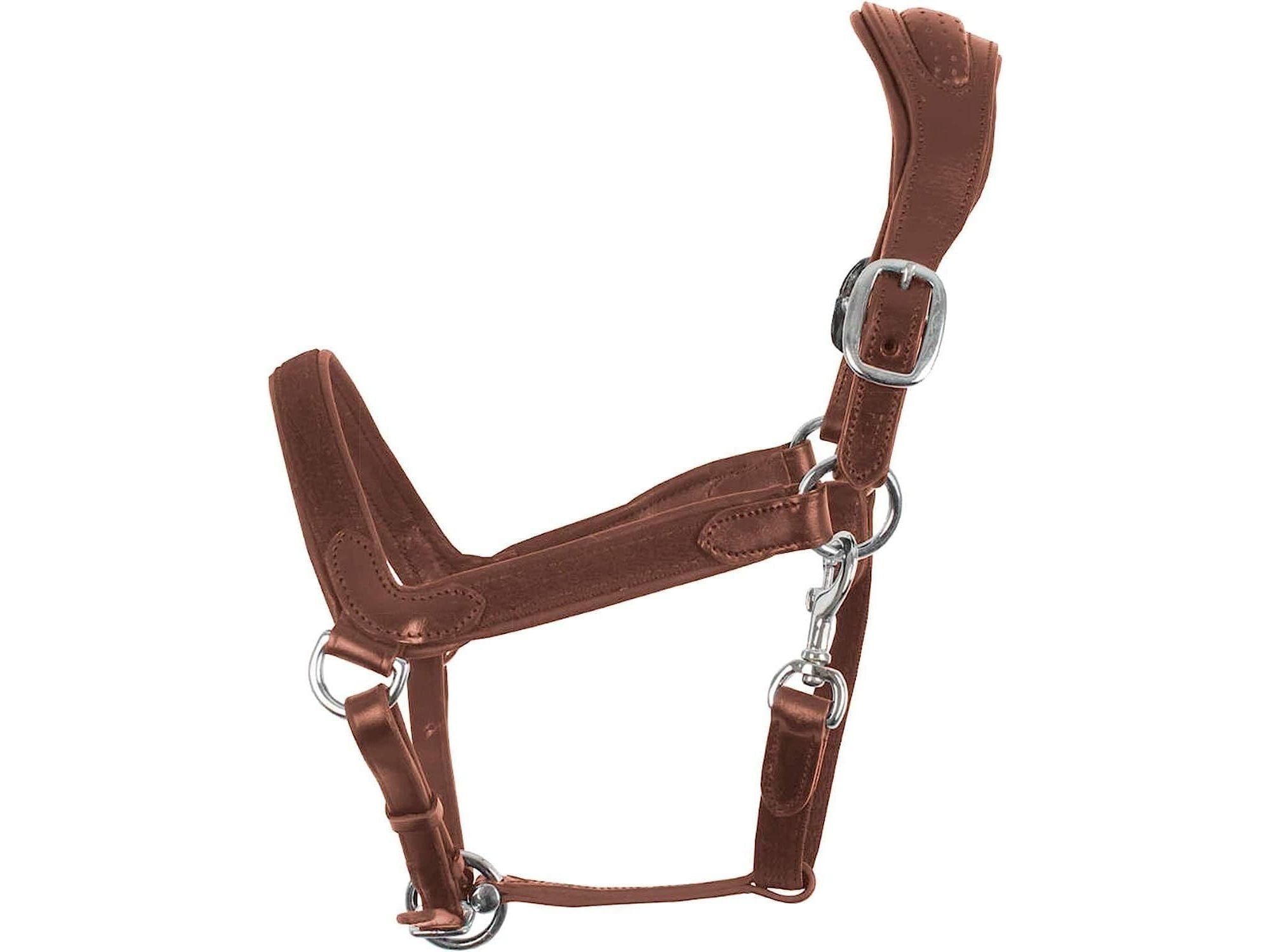 Collegiate Comfitec Leather Headcollar