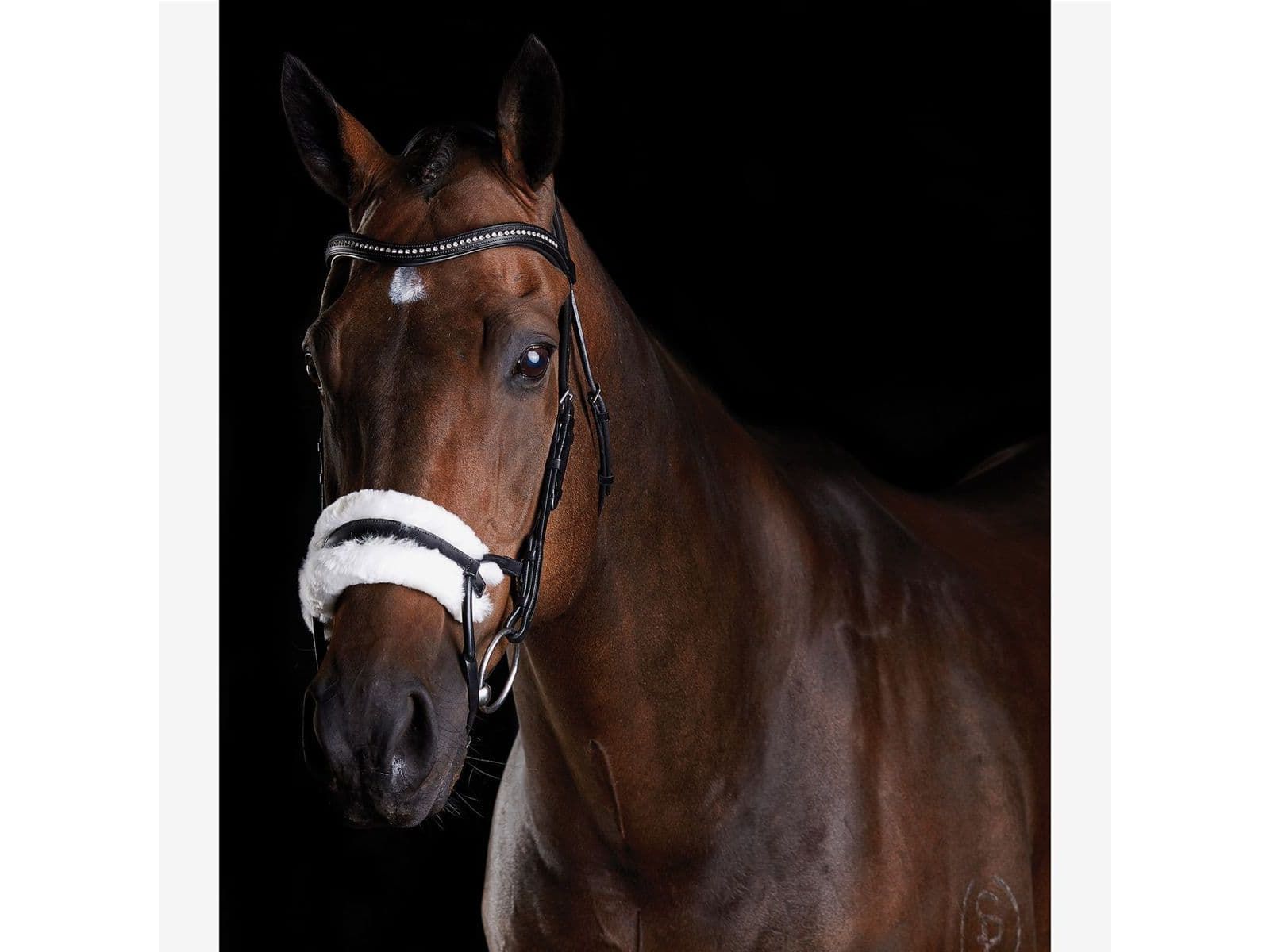 Collegiate Comfitec Sheepskin Bridle