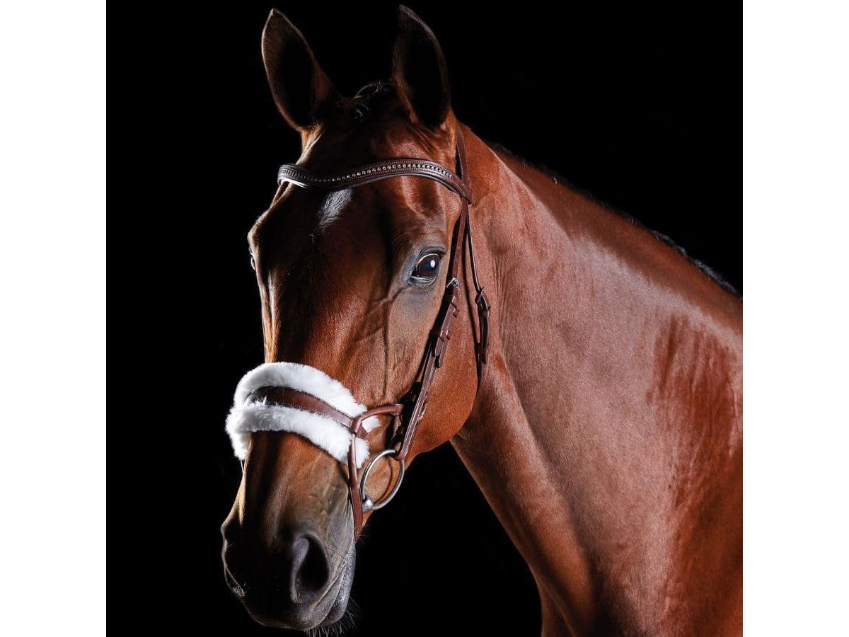 Collegiate Comfitec Sheepskin Bridle