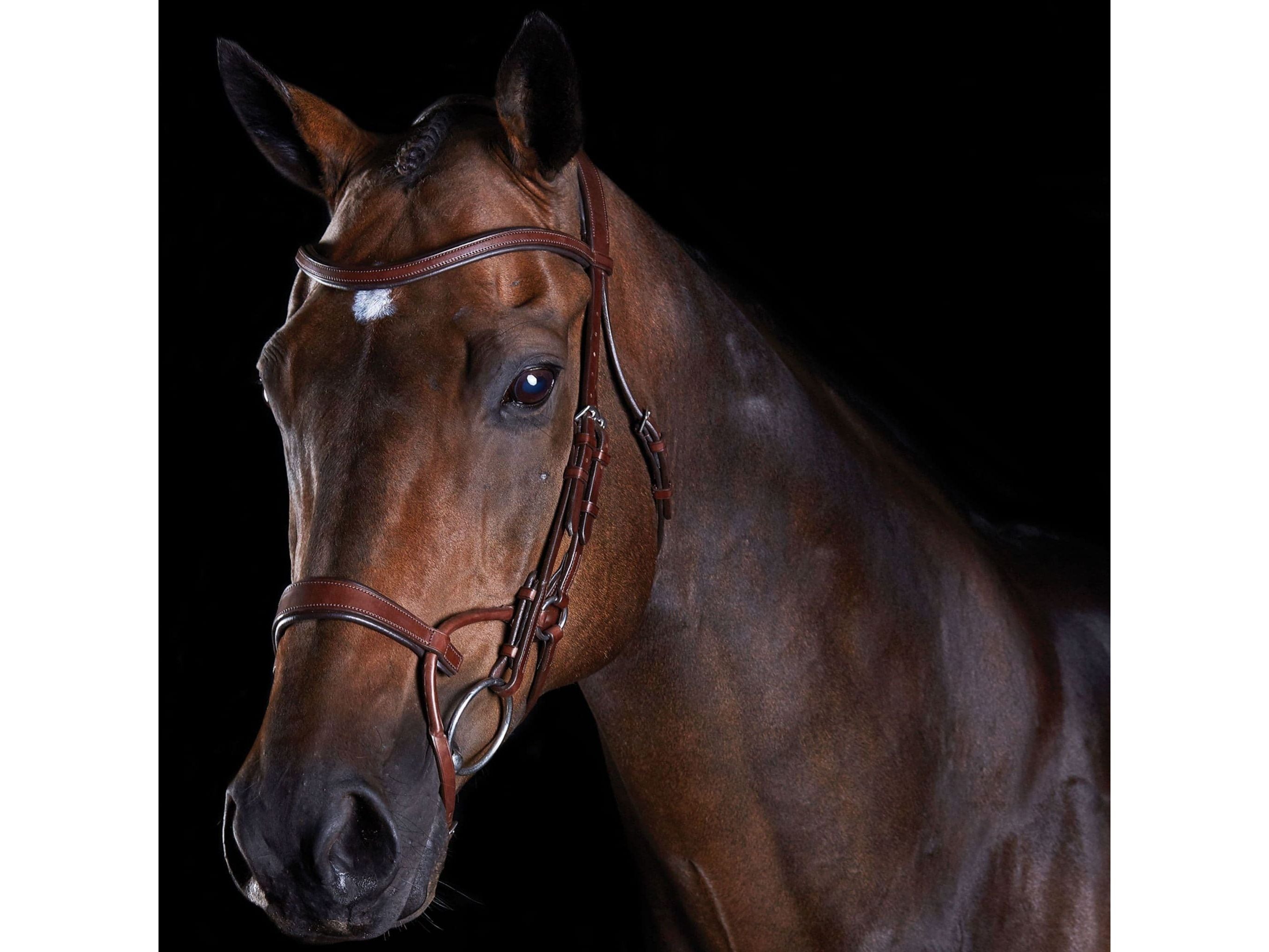 Collegiate Comfitec Training Bridle