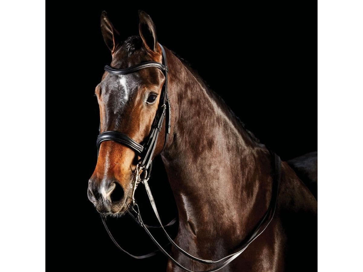 Collegiate Comfitec Weymouth Bridle