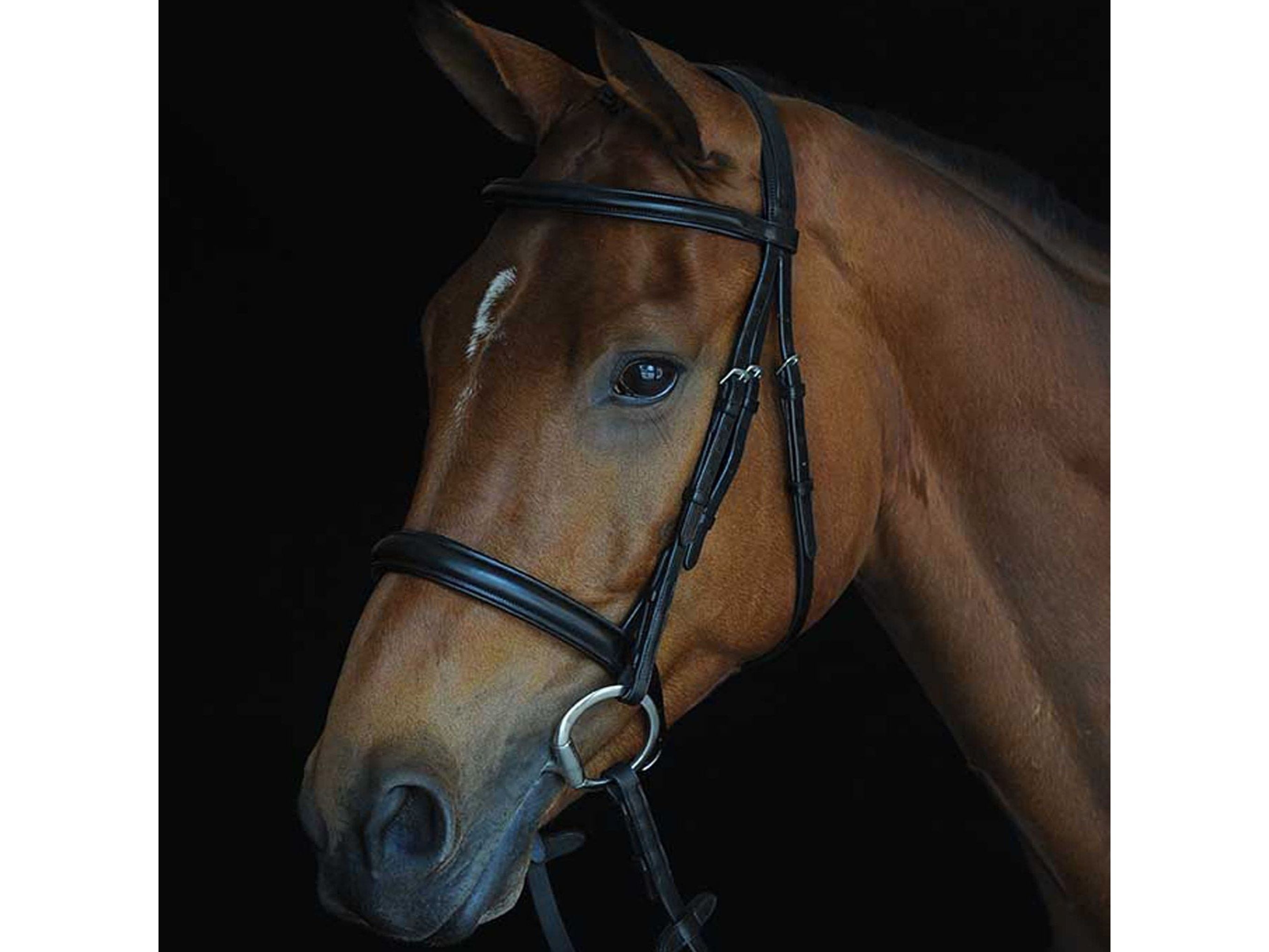 Collegiate Comfort Crown Padded Raised Cavesson Bridle
