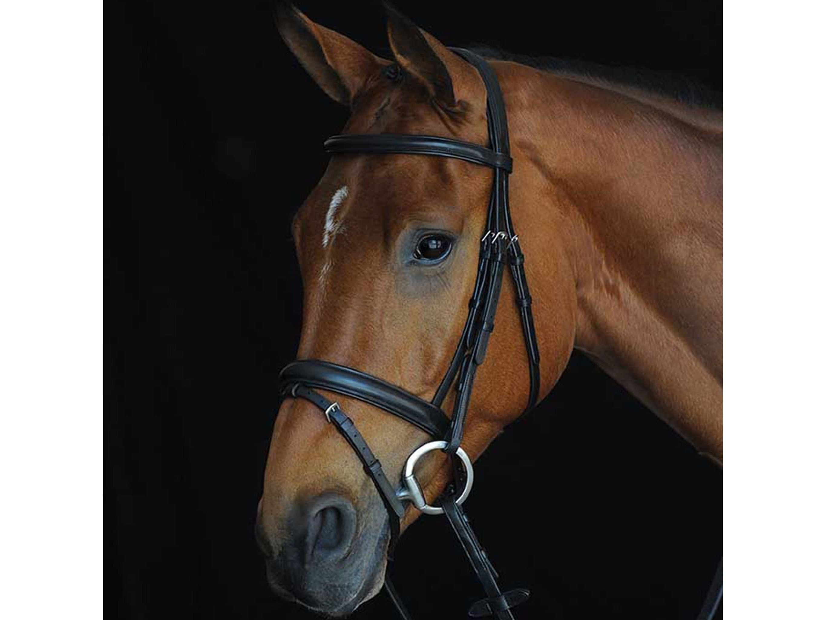 Collegiate Comfort Crown Padded Raised Flash Bridle