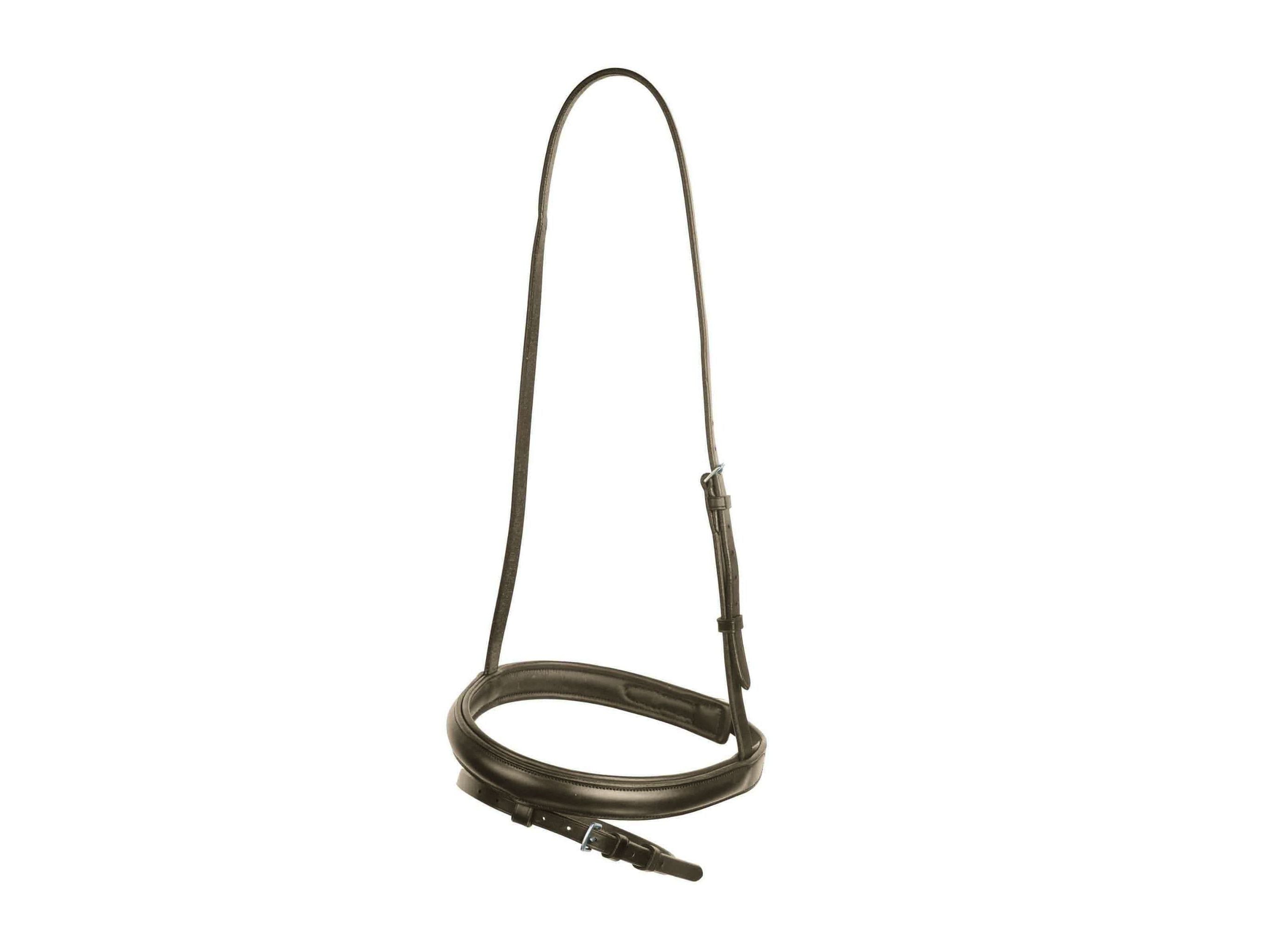Collegiate Flash Noseband Iv