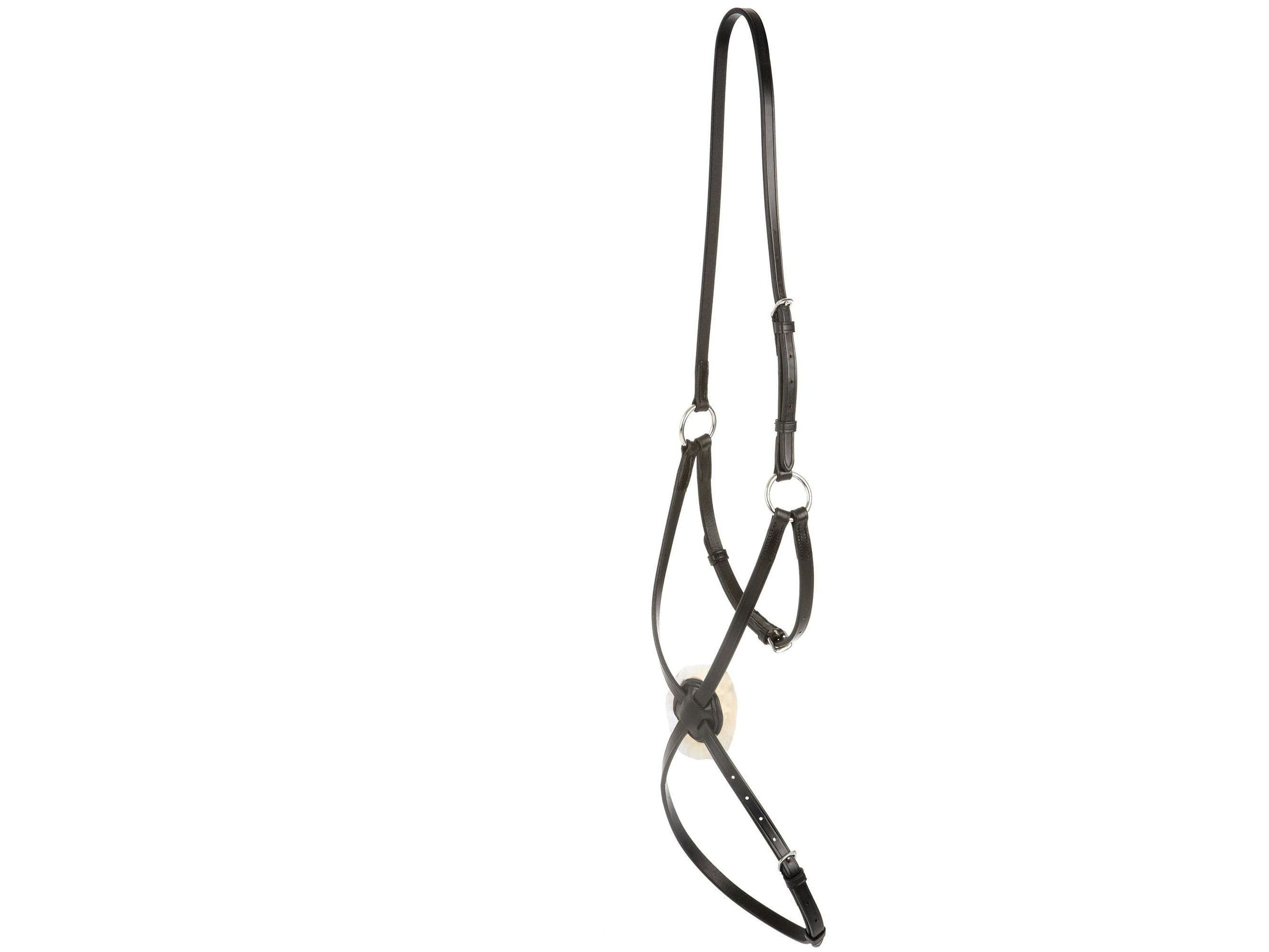 Collegiate Grackle Noseband Iv