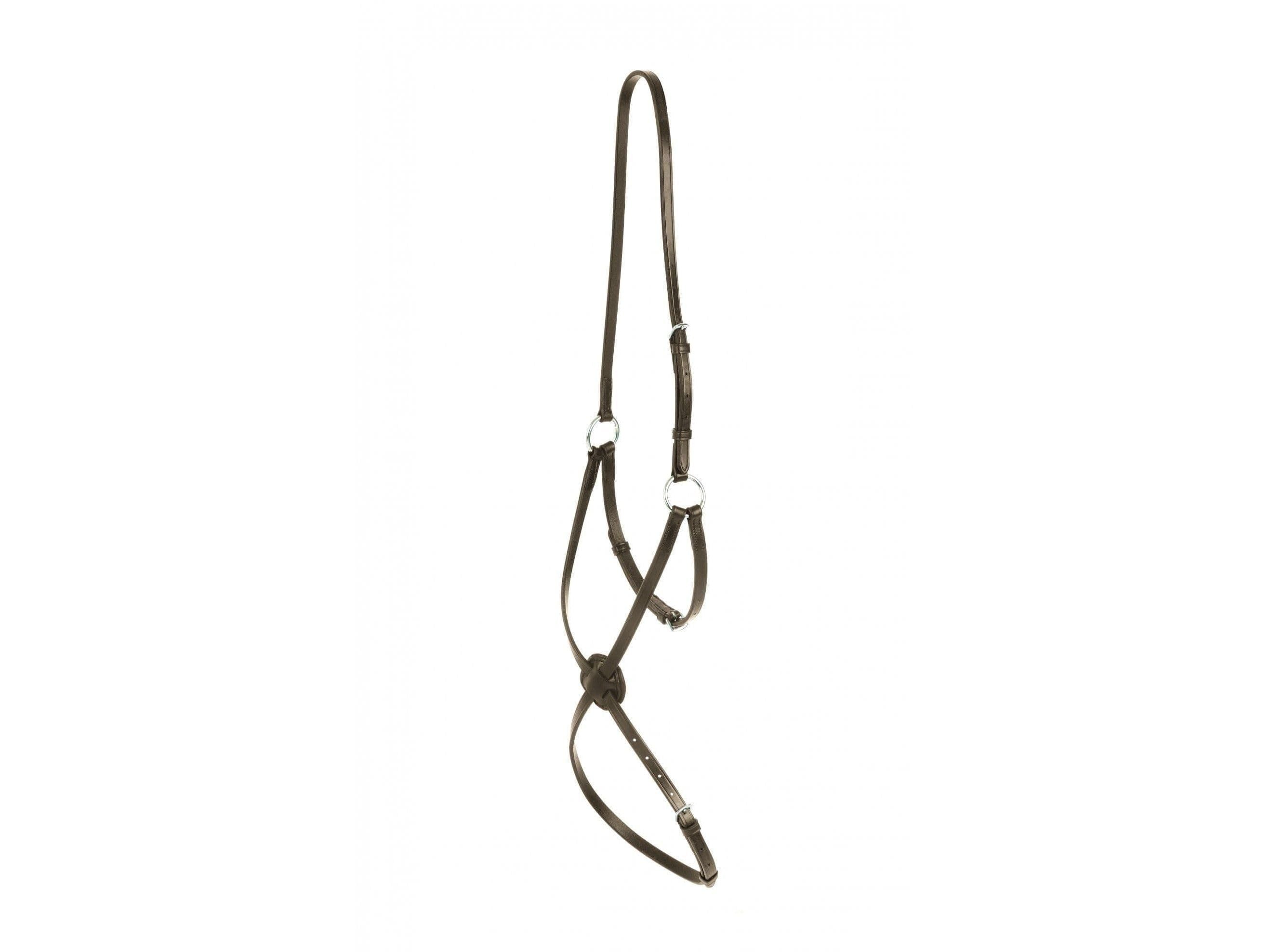 Collegiate Grackle Noseband Iv